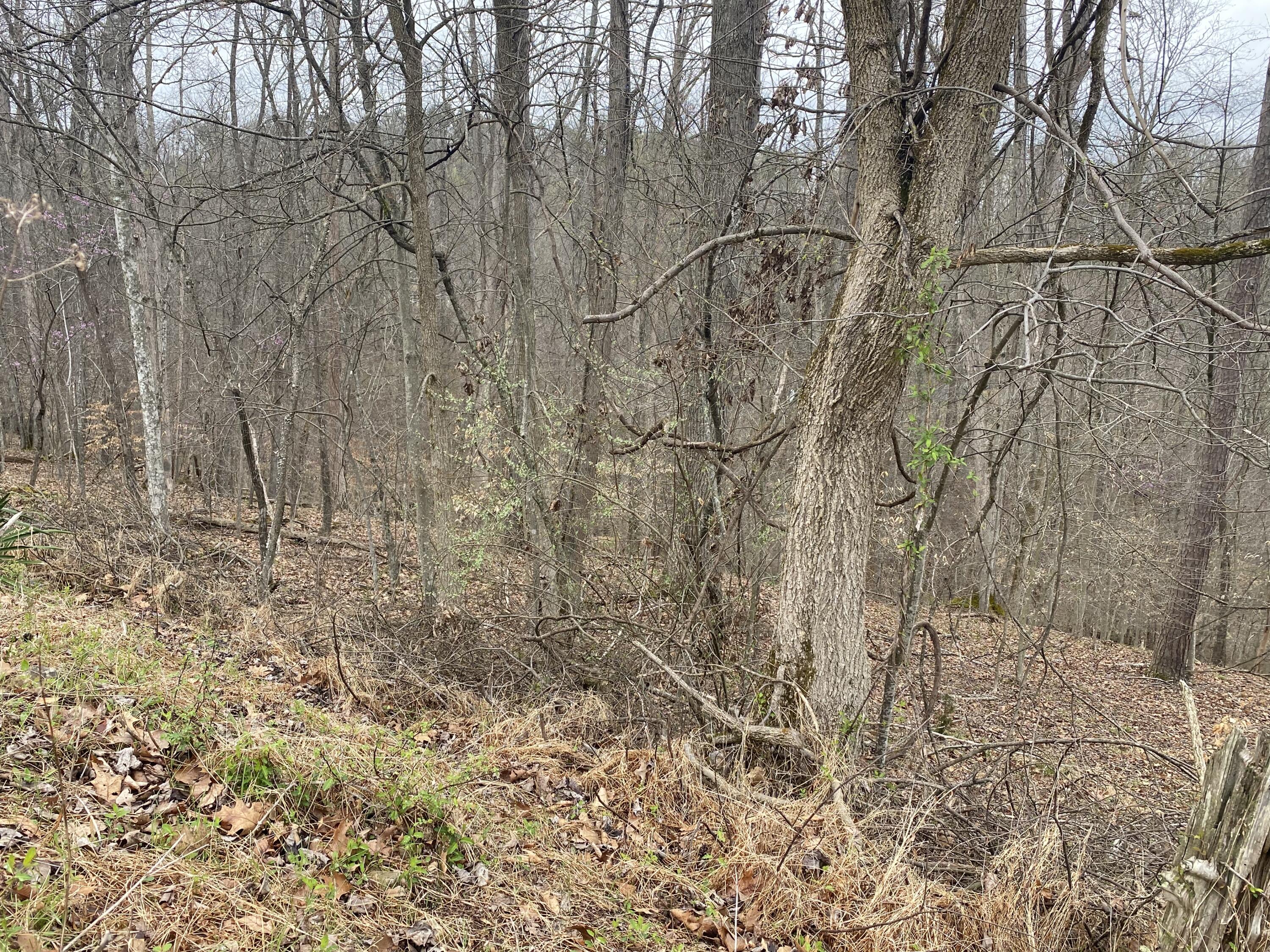 701 Tower Rd #701, Hurricane, West Virginia image 4