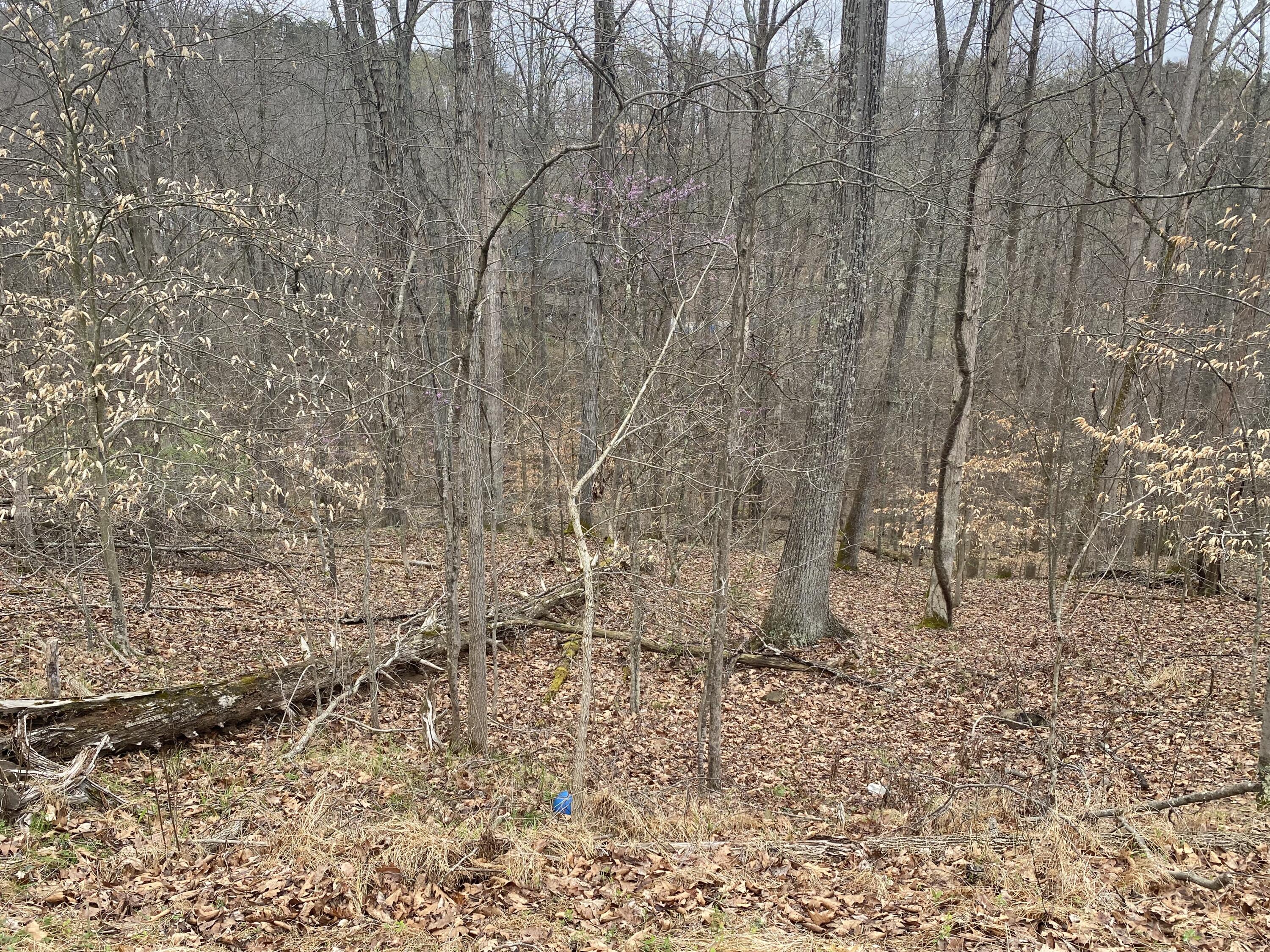 701 Tower Rd #701, Hurricane, West Virginia image 8