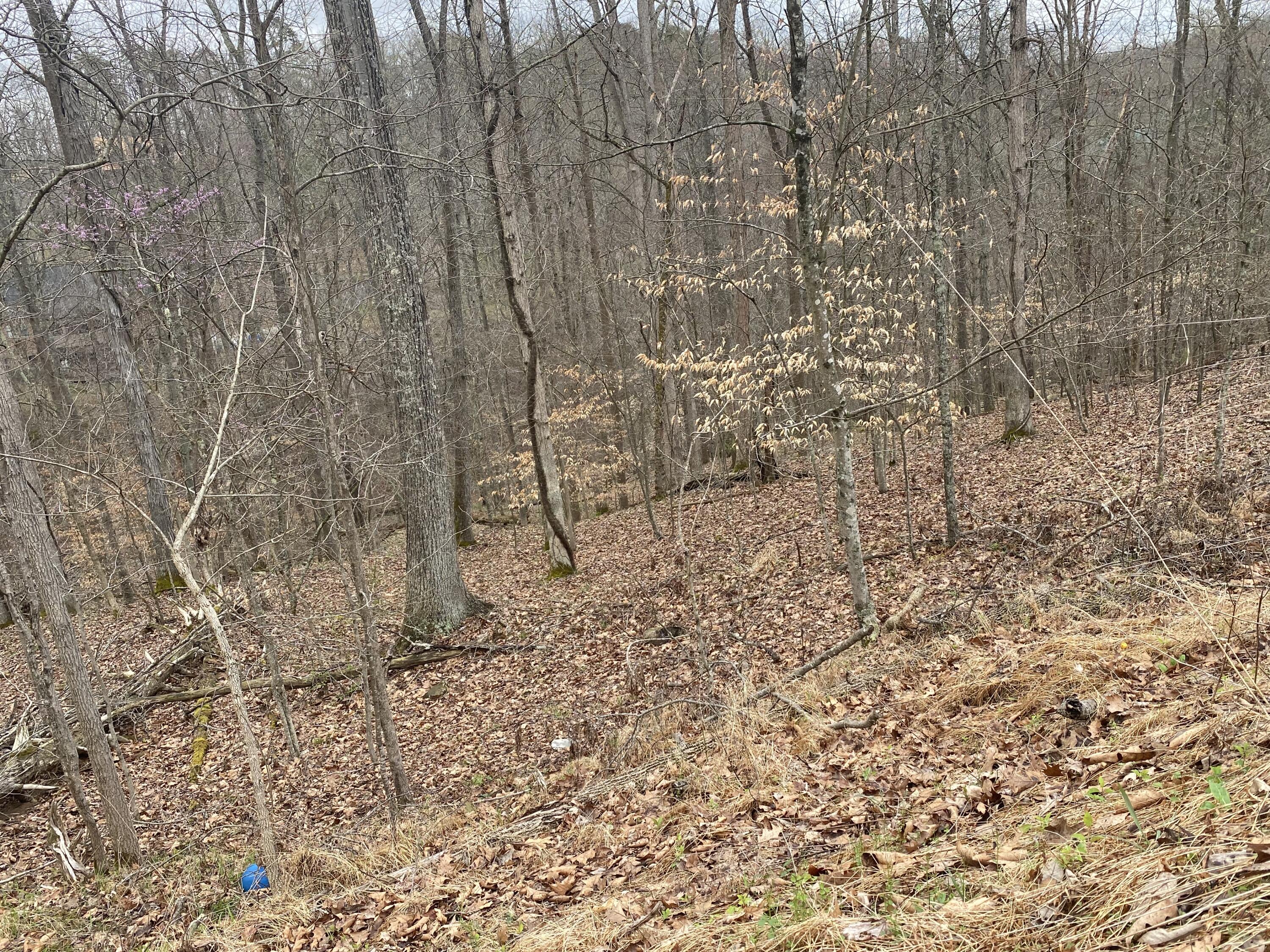 701 Tower Rd #701, Hurricane, West Virginia image 9