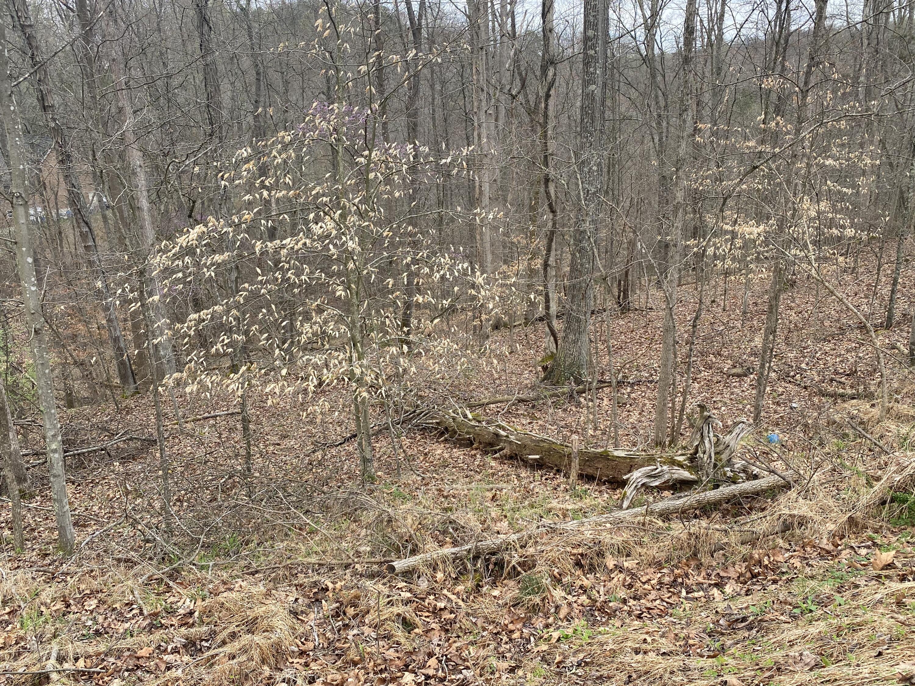 701 Tower Rd #701, Hurricane, West Virginia image 14