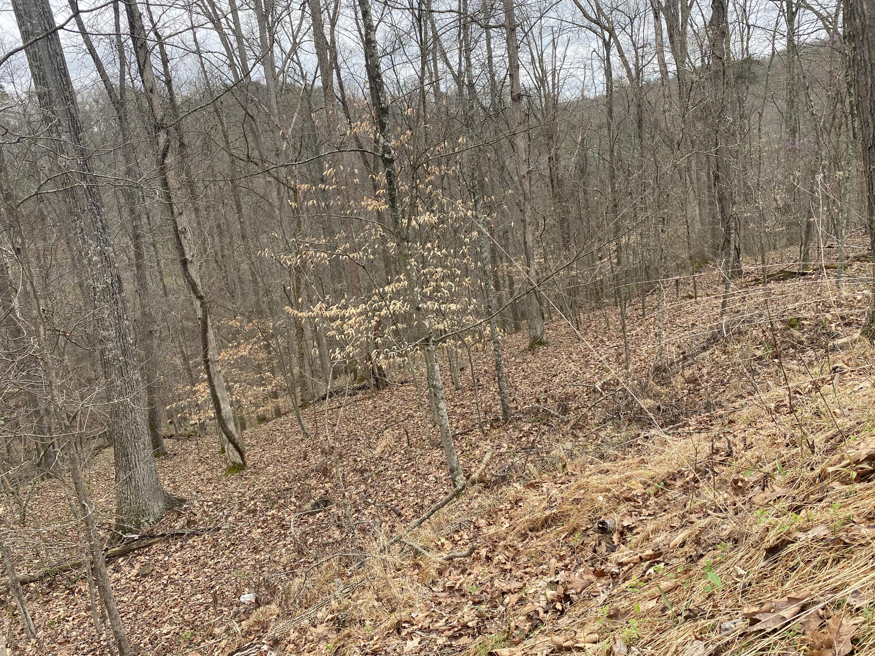 701 Tower Rd #701, Hurricane, West Virginia image 10
