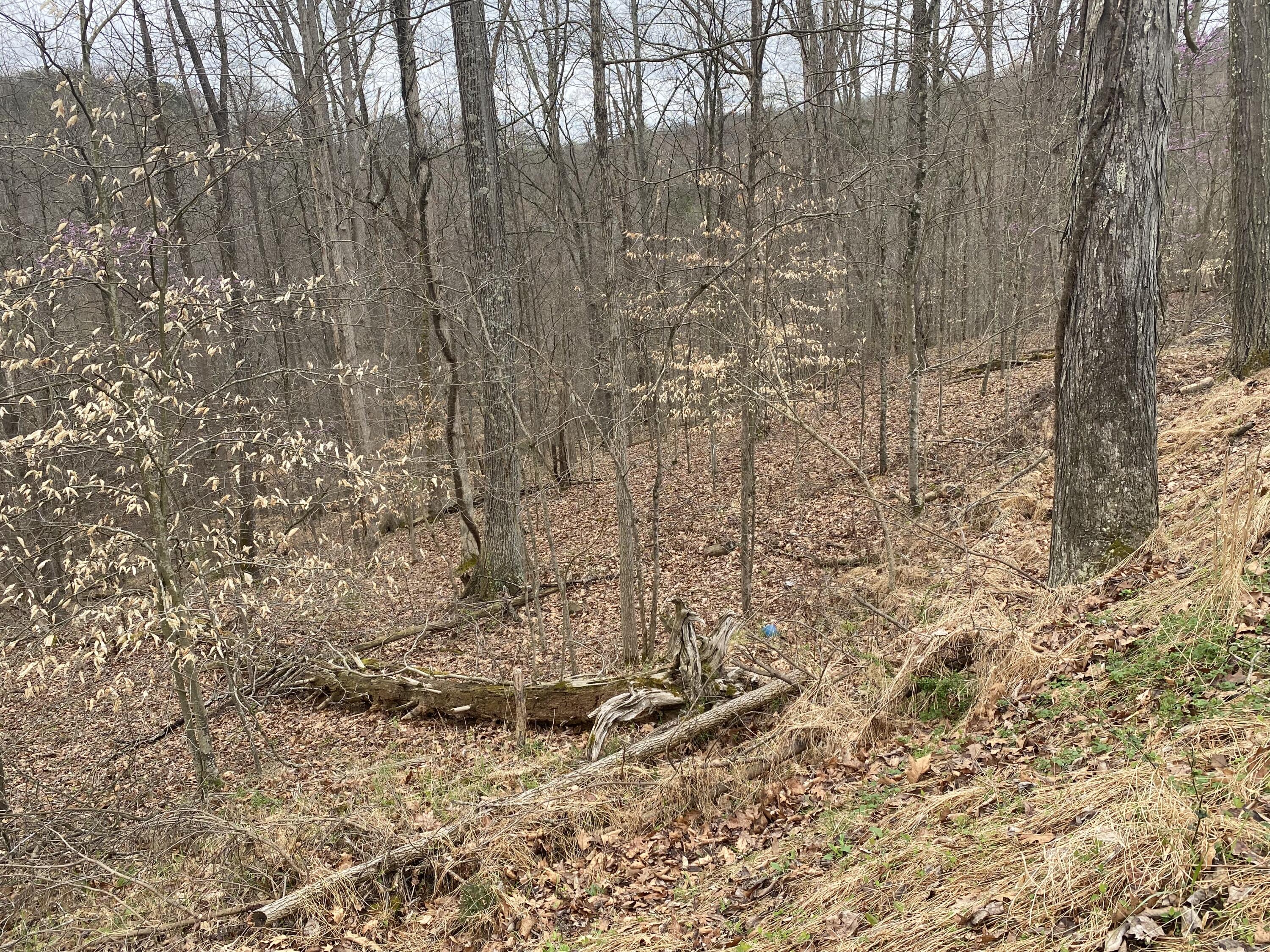 701 Tower Rd #701, Hurricane, West Virginia image 15