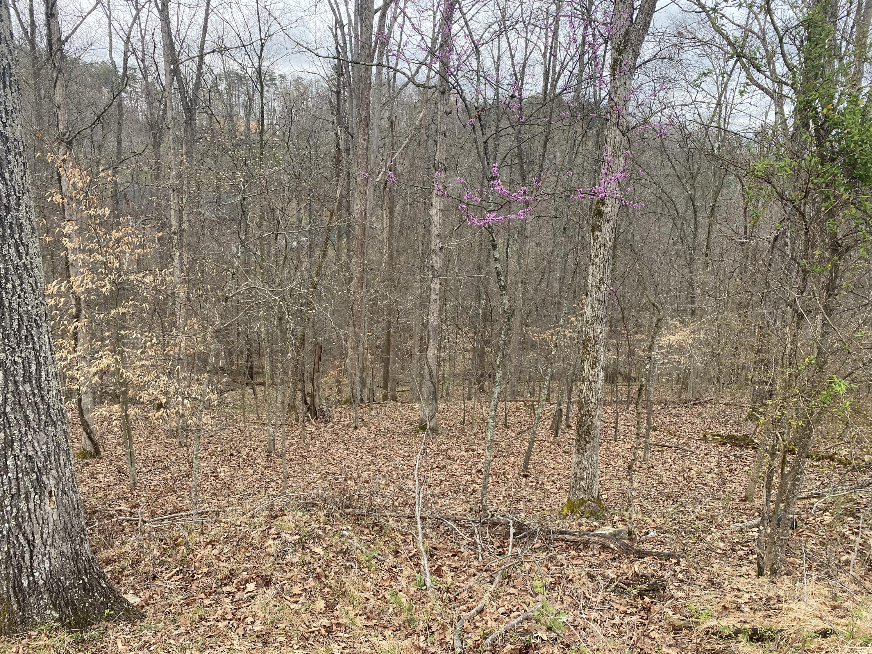 701 Tower Rd #701, Hurricane, West Virginia image 19