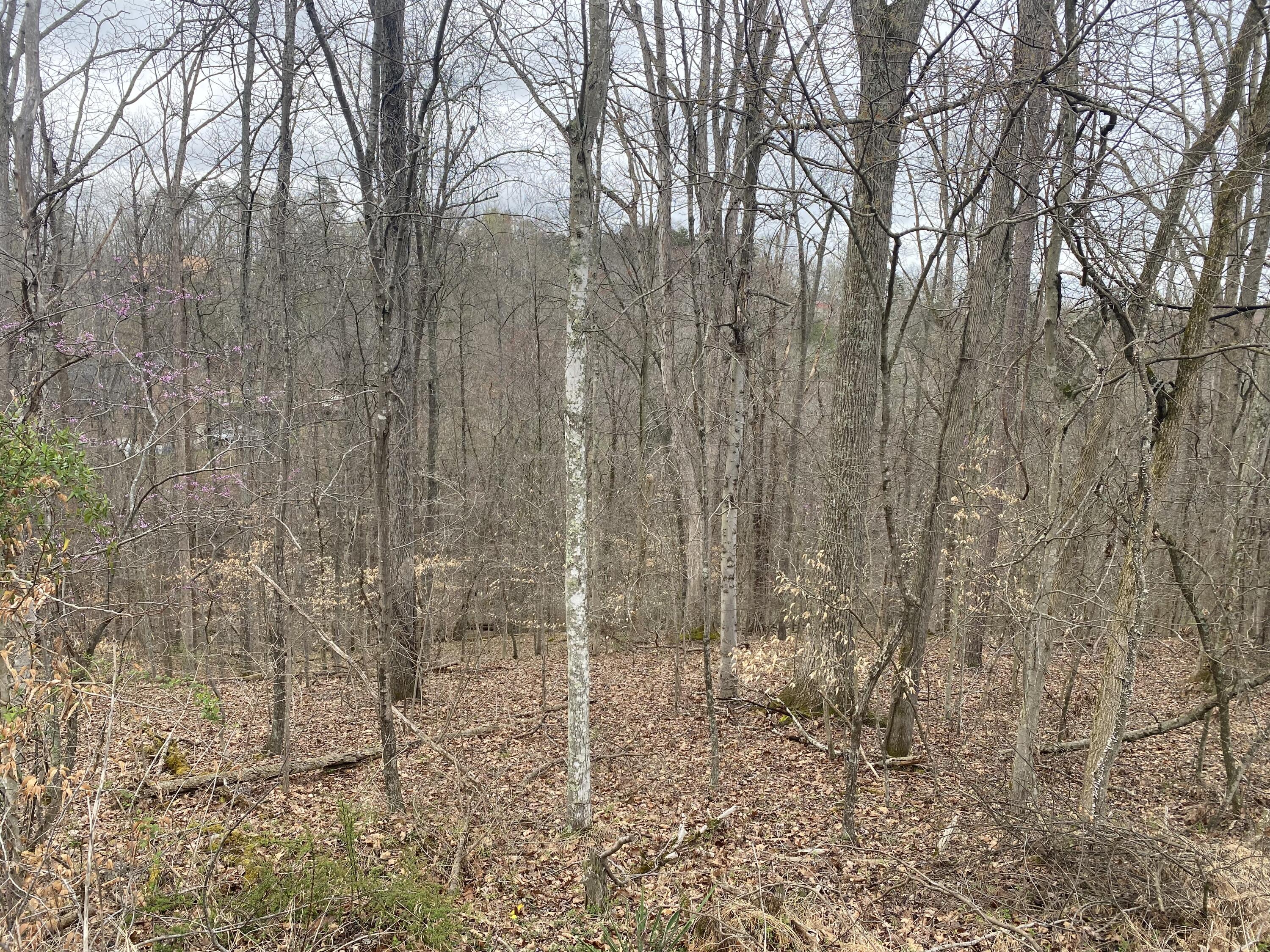 701 Tower Rd #701, Hurricane, West Virginia image 20