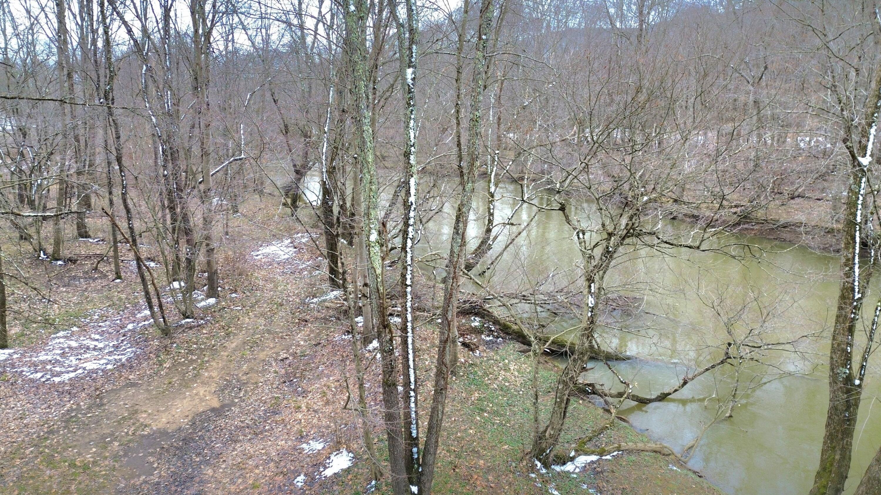 1.9 Acres Midland Trl W #1.91, Rupert, West Virginia image 14