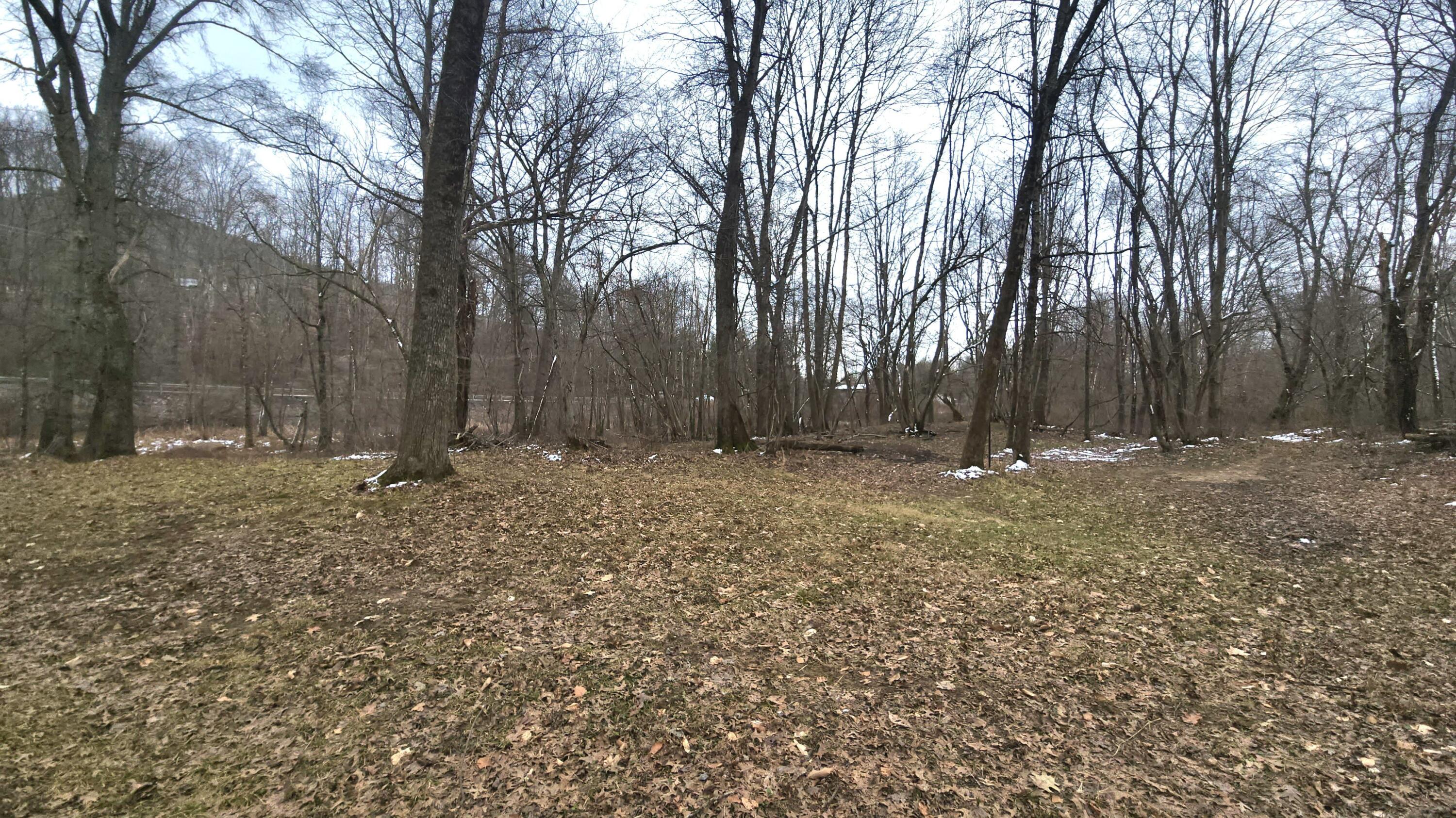 1.9 Acres Midland Trl W #1.91, Rupert, West Virginia image 2