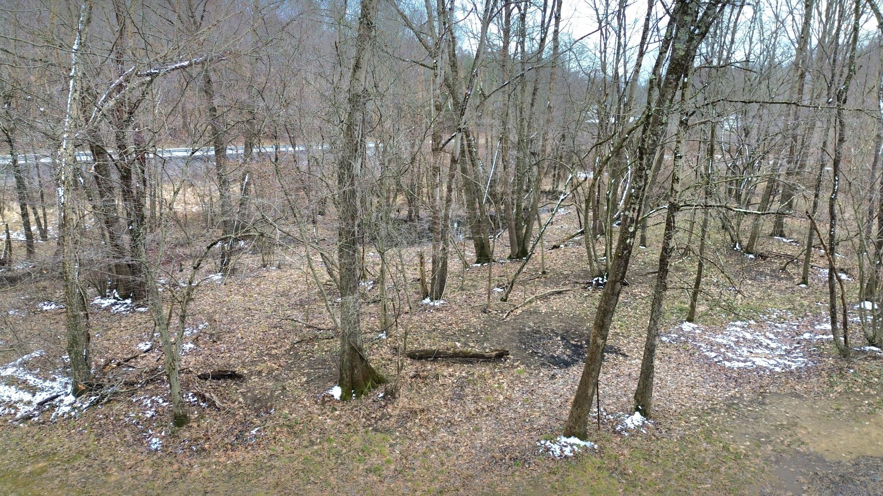 1.9 Acres Midland Trl W #1.91, Rupert, West Virginia image 11