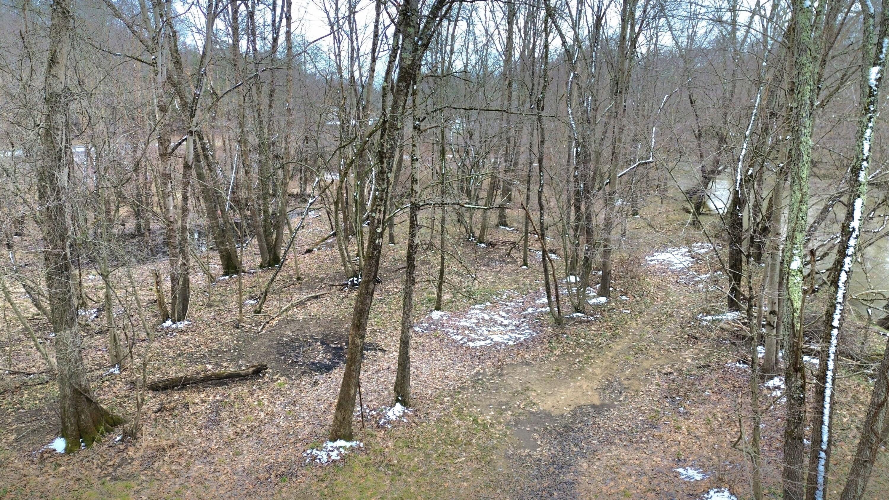 1.9 Acres Midland Trl W #1.91, Rupert, West Virginia image 10