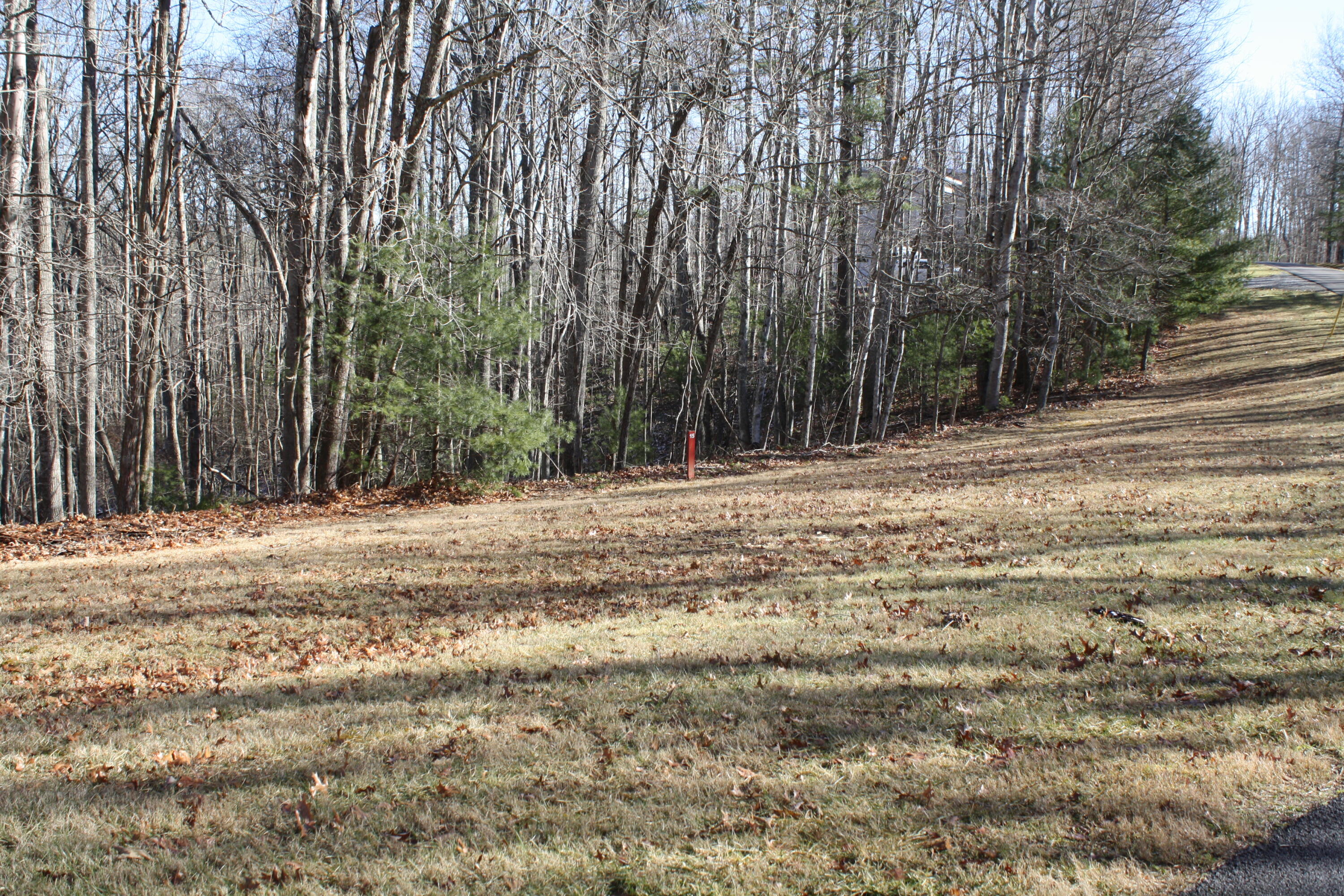 770 Fairway Drive #TEMPORARY ADDRESS, Pipestem, West Virginia image 7