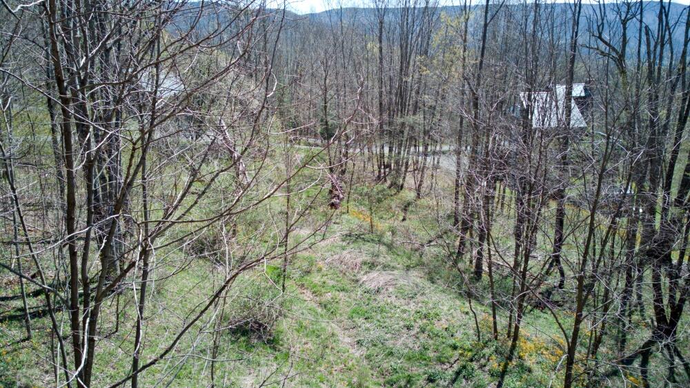 15 Hawthorne Ridge Rd #SLATYFORK FARM, Slatyfork, West Virginia image 3