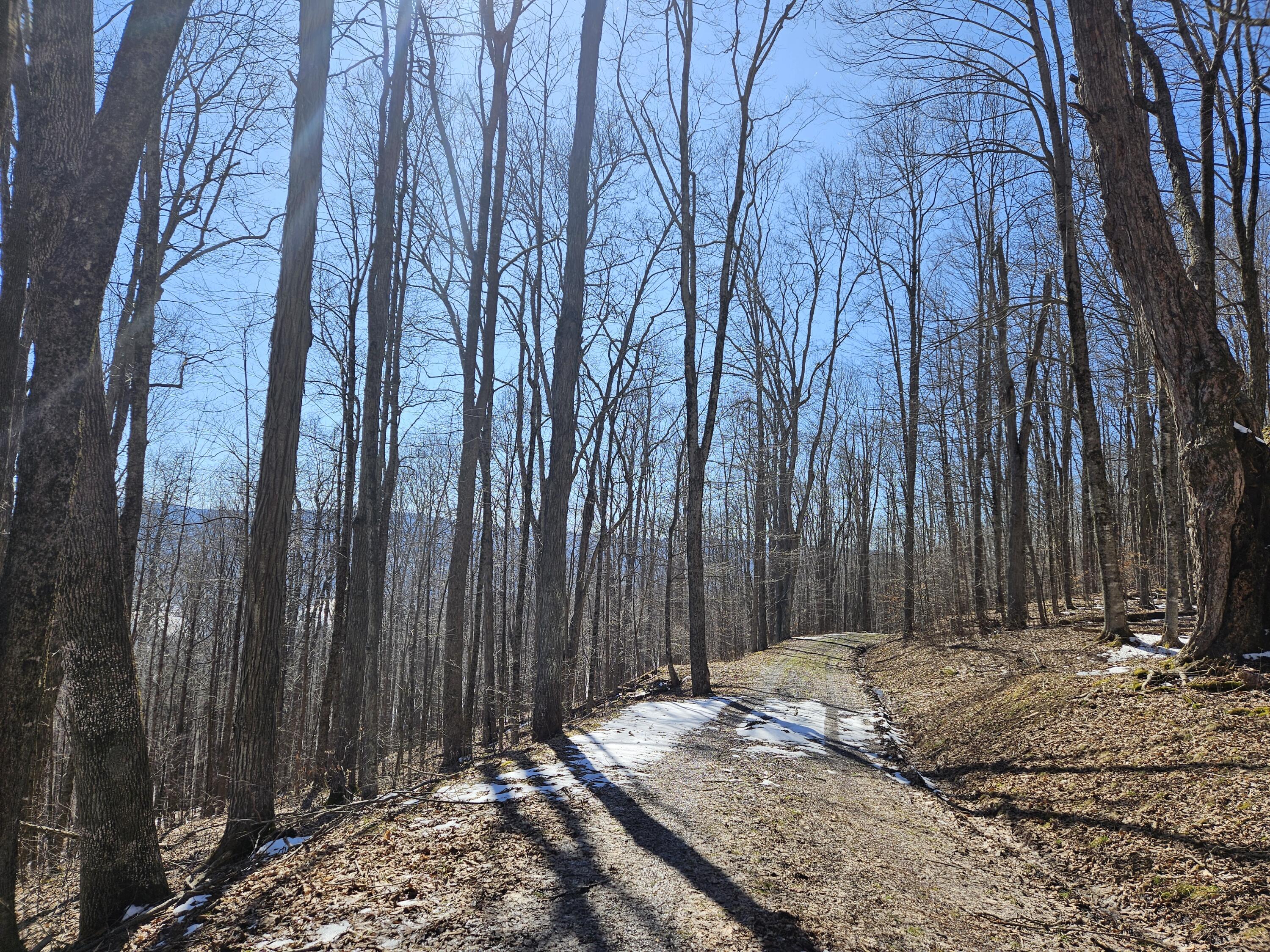 Lot 8 Upper Cherry Grove Rd #8, Slatyfork, West Virginia image 20