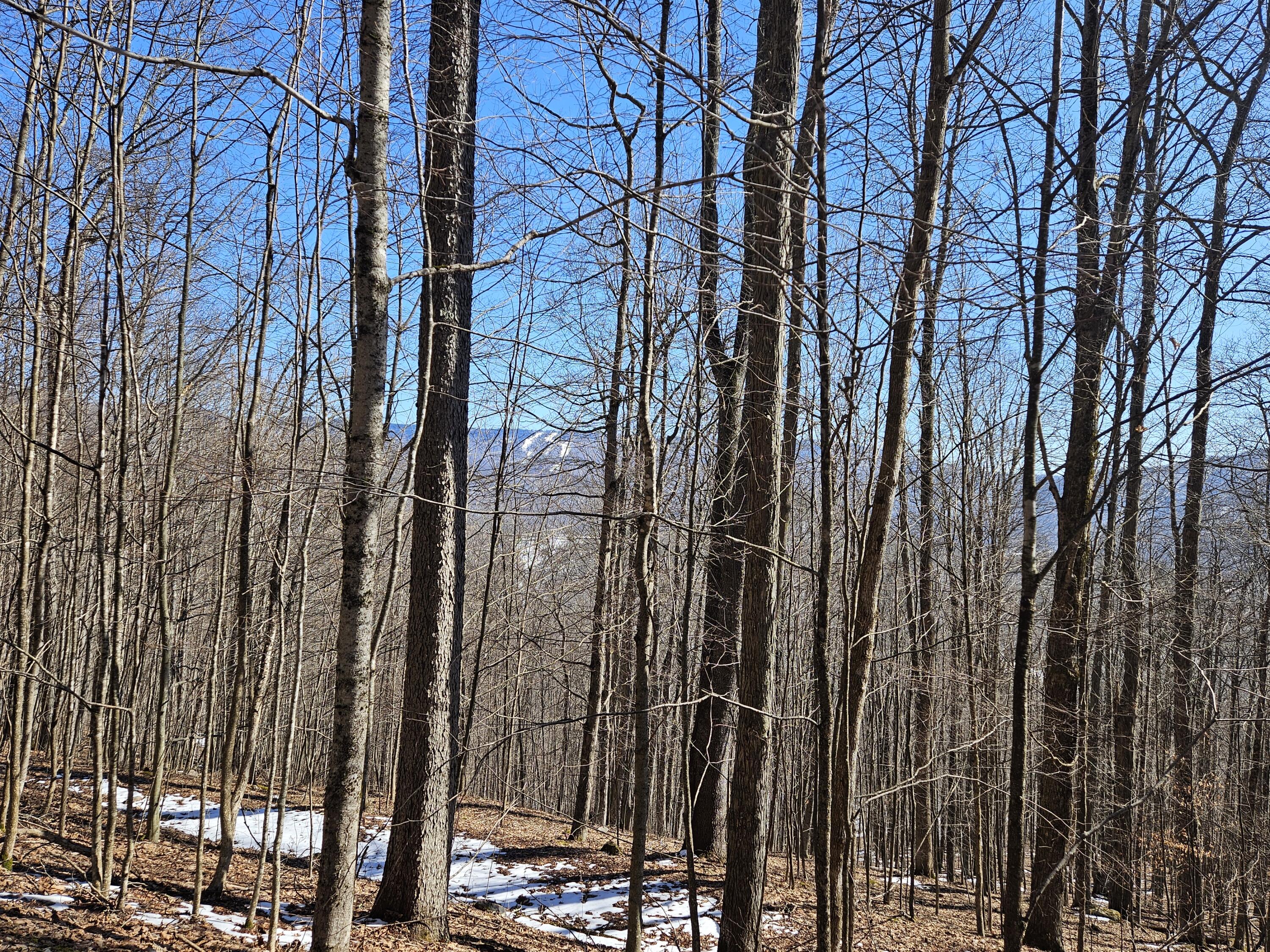 Lot 8 Upper Cherry Grove Rd #8, Slatyfork, West Virginia image 1