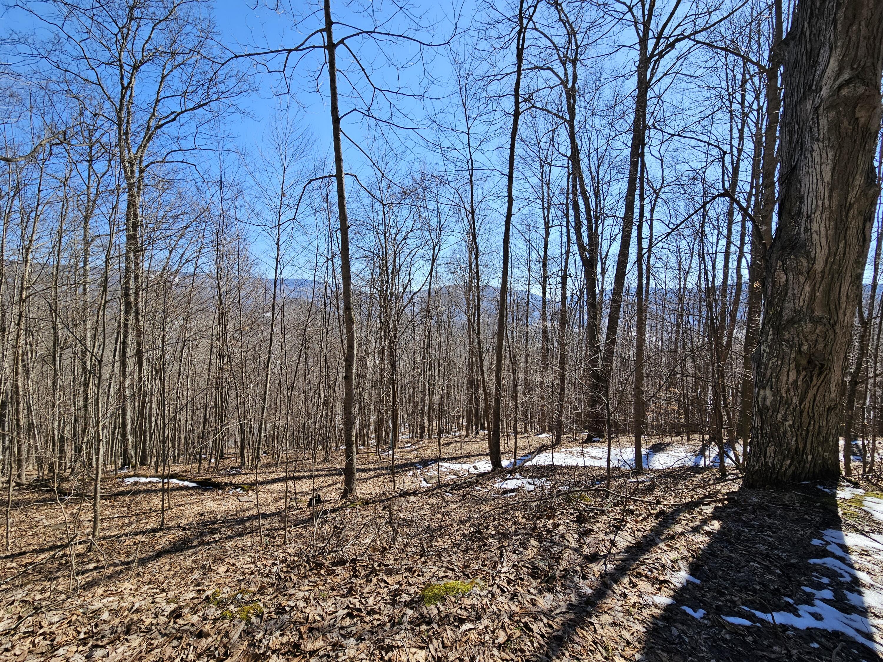 Lot 8 Upper Cherry Grove Rd #8, Slatyfork, West Virginia image 19