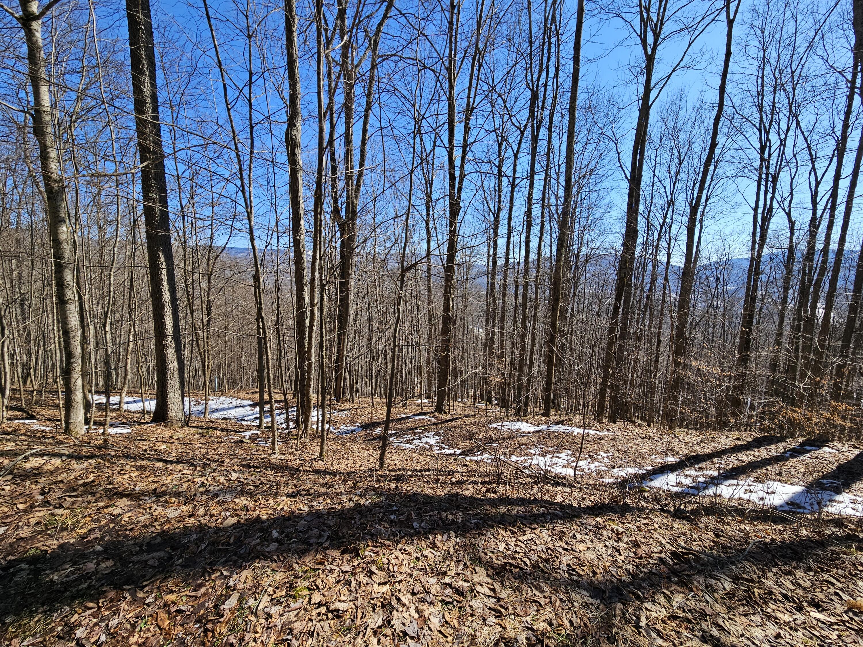 Lot 8 Upper Cherry Grove Rd #8, Slatyfork, West Virginia image 5