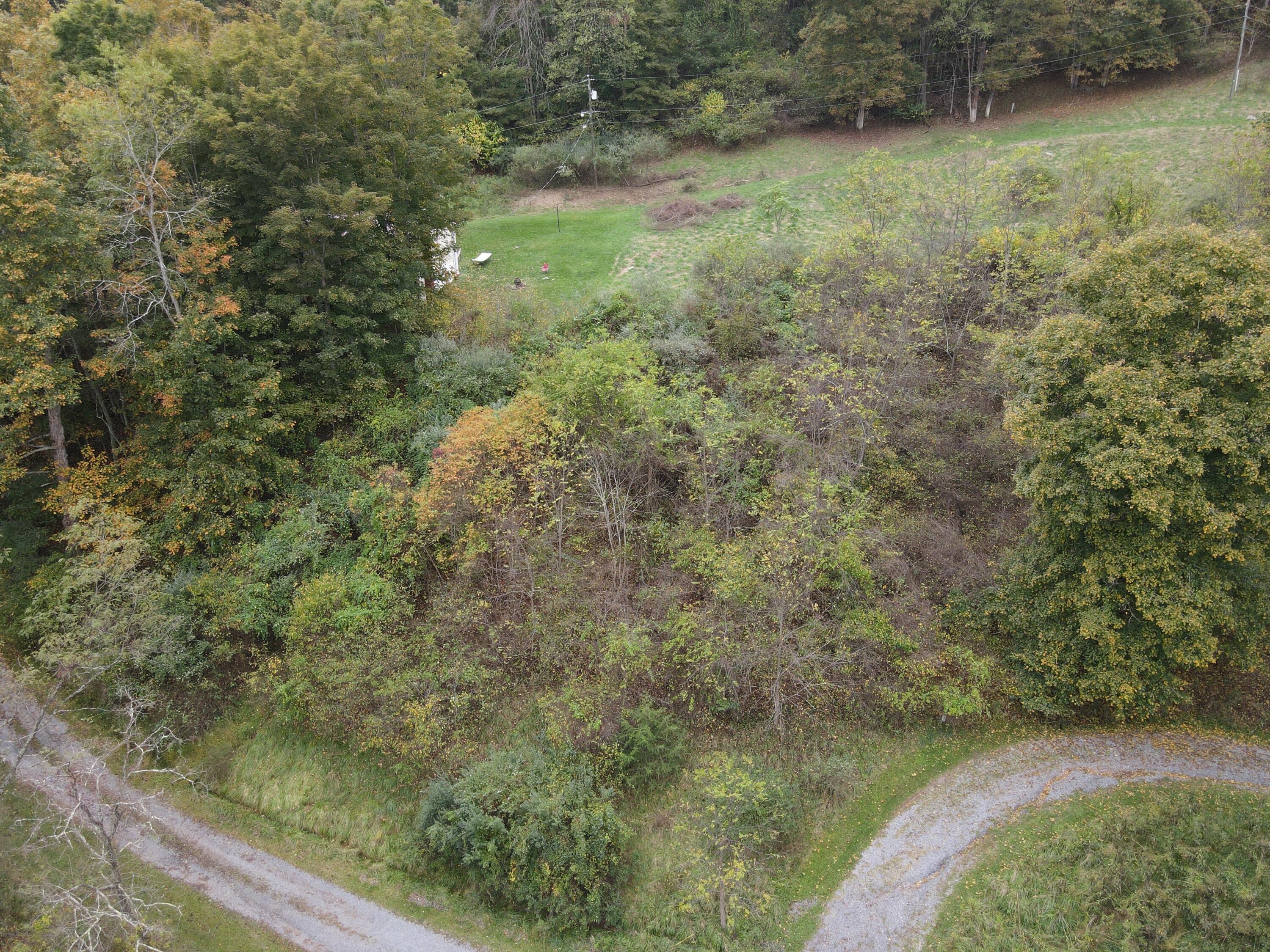 Lot 5 Valley Drive, Ronceverte, West Virginia image 1