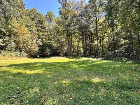 Homes For Sale - 2133 Wilderness Hwy<br/> Mount Nebo, WV 26679