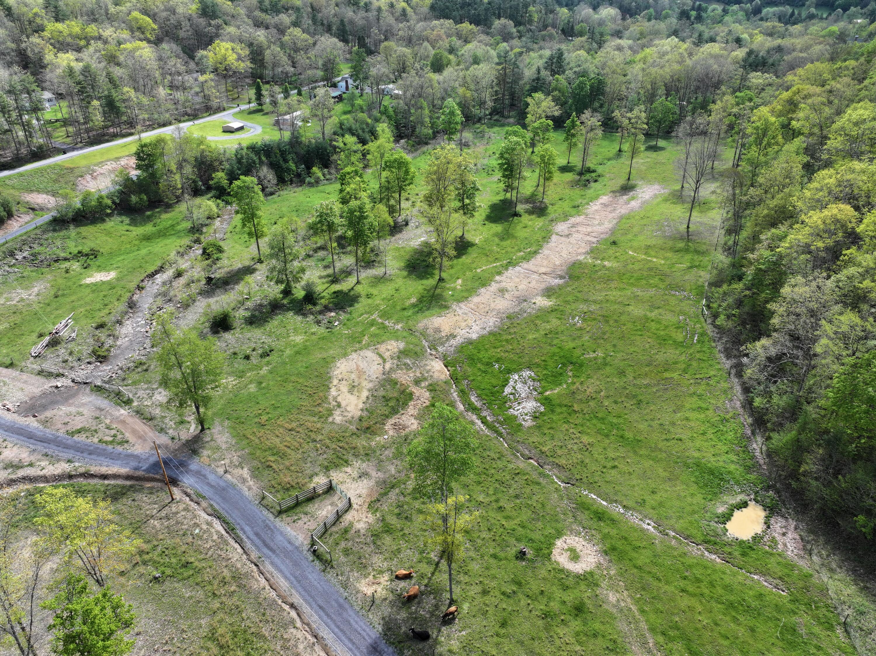 Dutch Hollow Rd, White Sulphur Springs, West Virginia image 14