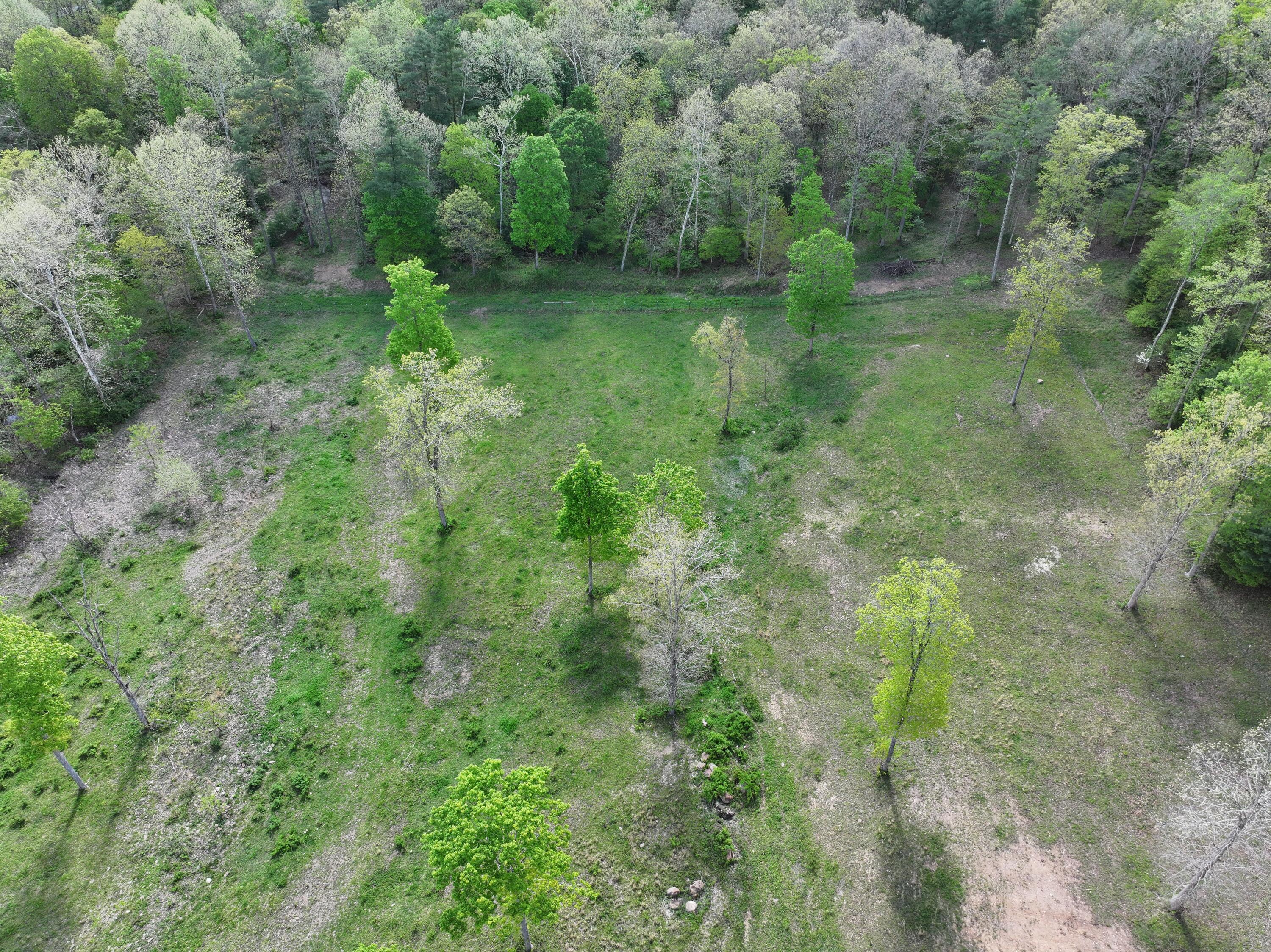 Dutch Hollow Rd, White Sulphur Springs, West Virginia image 15