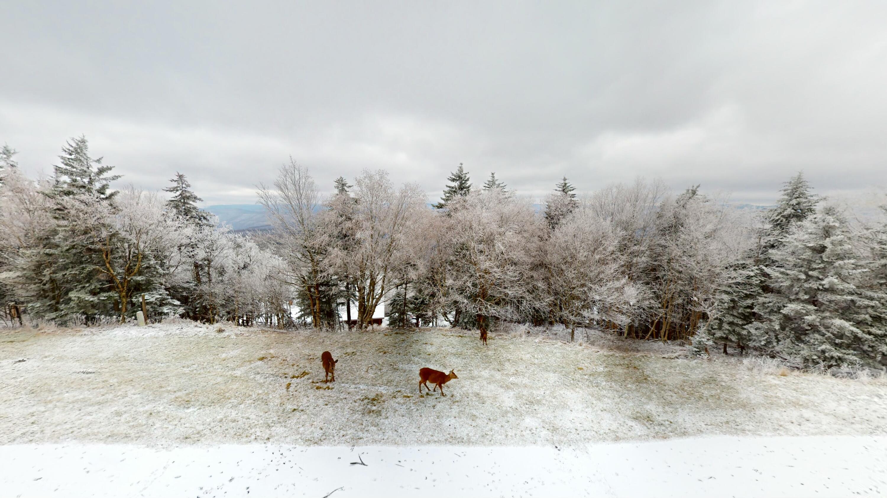 202c Summit, Snowshoe, West Virginia image 8