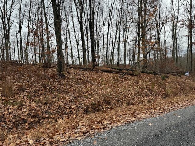 Overlook #LOT 63, Caldwell, West Virginia image 7