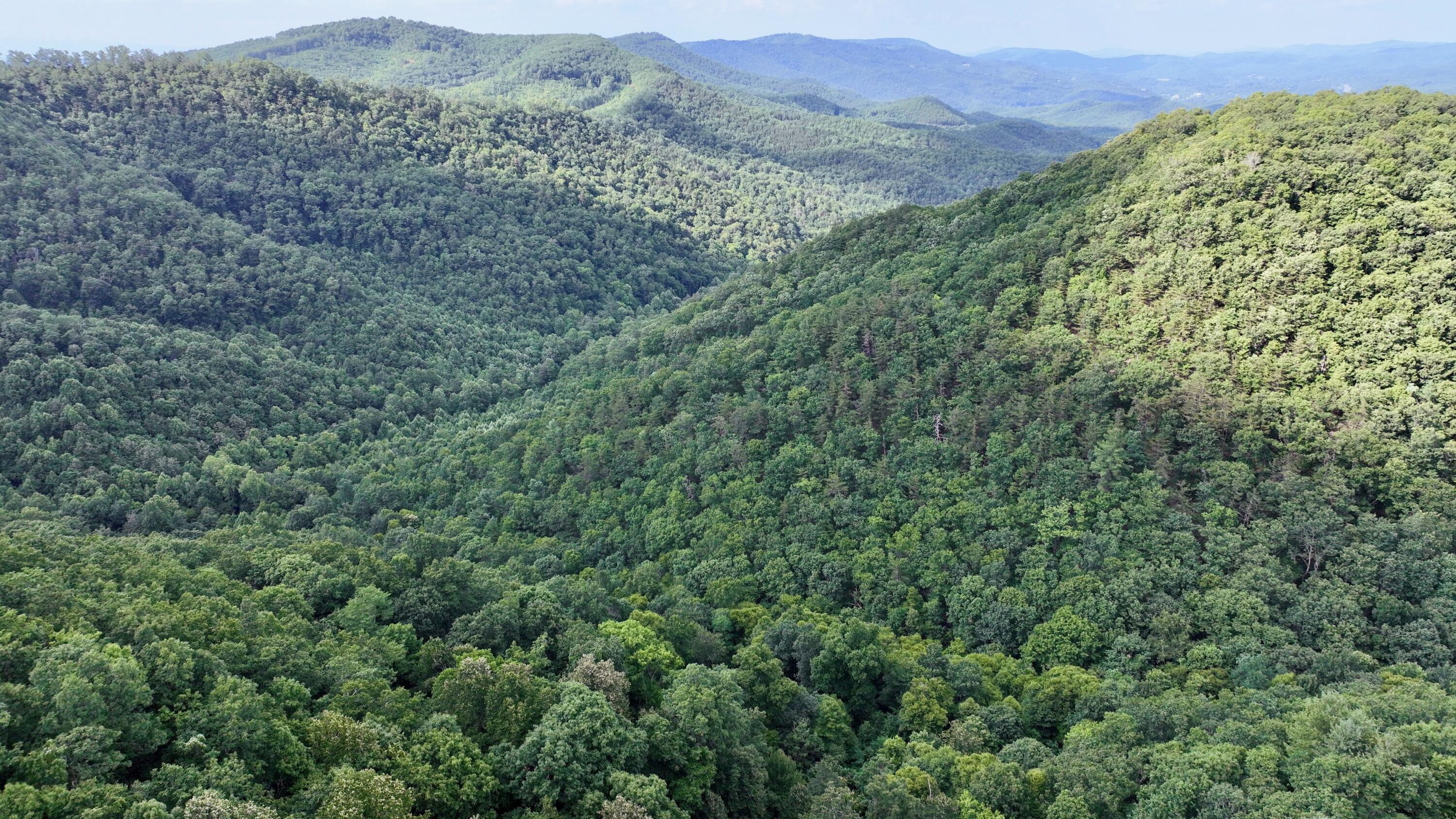 Overlook #LOT 63, Caldwell, West Virginia image 11