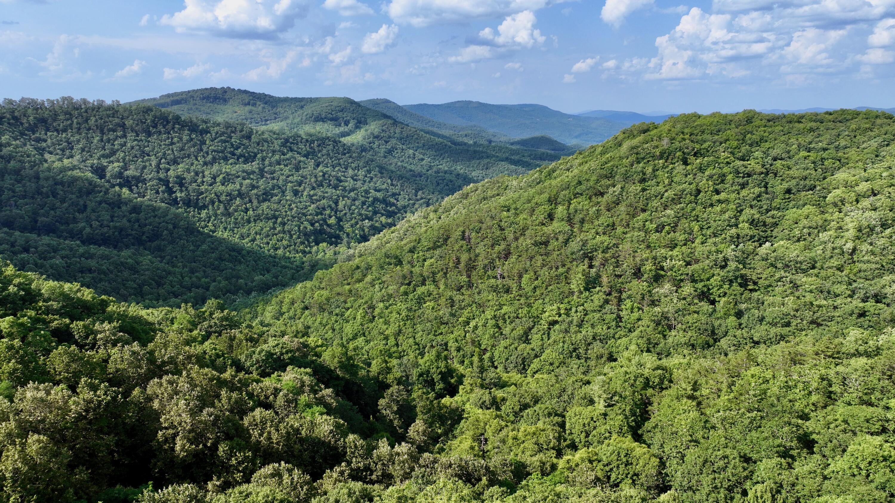 Overlook #LOT 63, Caldwell, West Virginia image 10