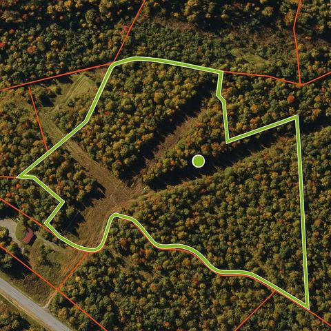 Vacant Land For Sale - Spruce Run Rd<br/> Nicholas County, Summersville, WV 26651