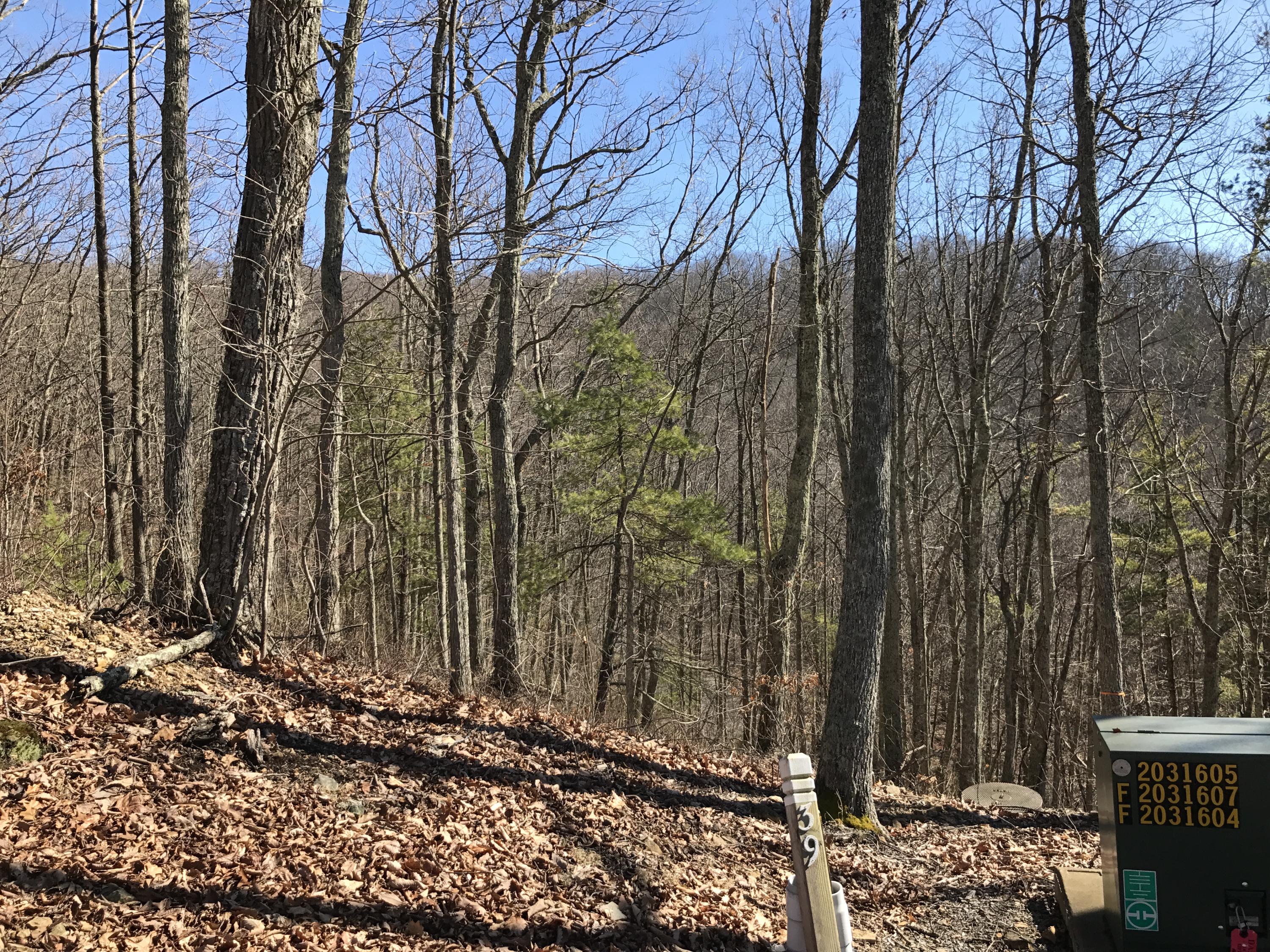 Lot 39 Wildwood Ridge, #39, Caldwell, West Virginia image 2