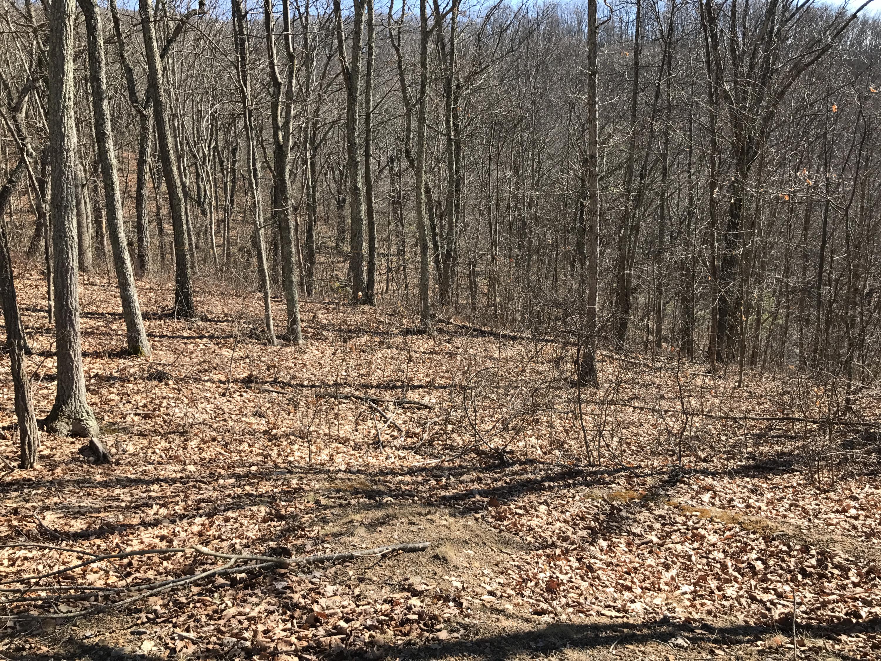 Lot 39 Wildwood Ridge, #39, Caldwell, West Virginia image 6