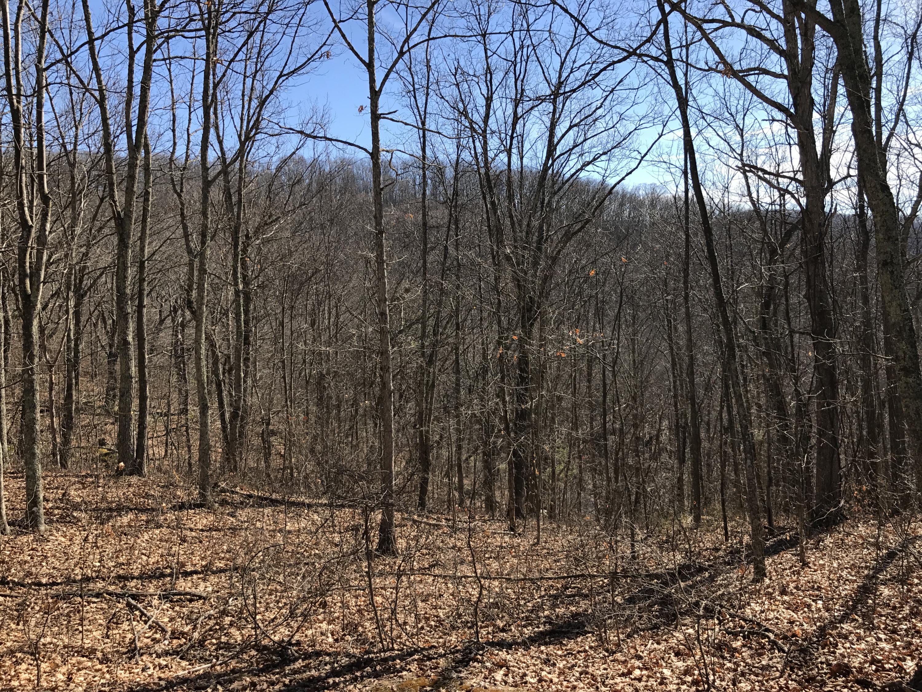 Lot 39 Wildwood Ridge, #39, Caldwell, West Virginia image 1