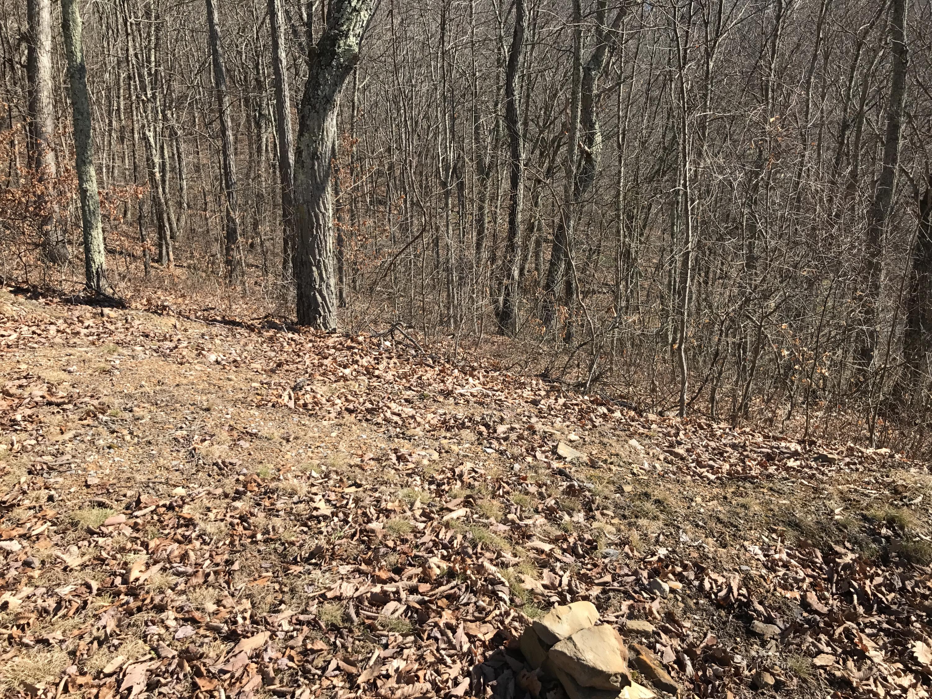 Lot 39 Wildwood Ridge, #39, Caldwell, West Virginia image 4