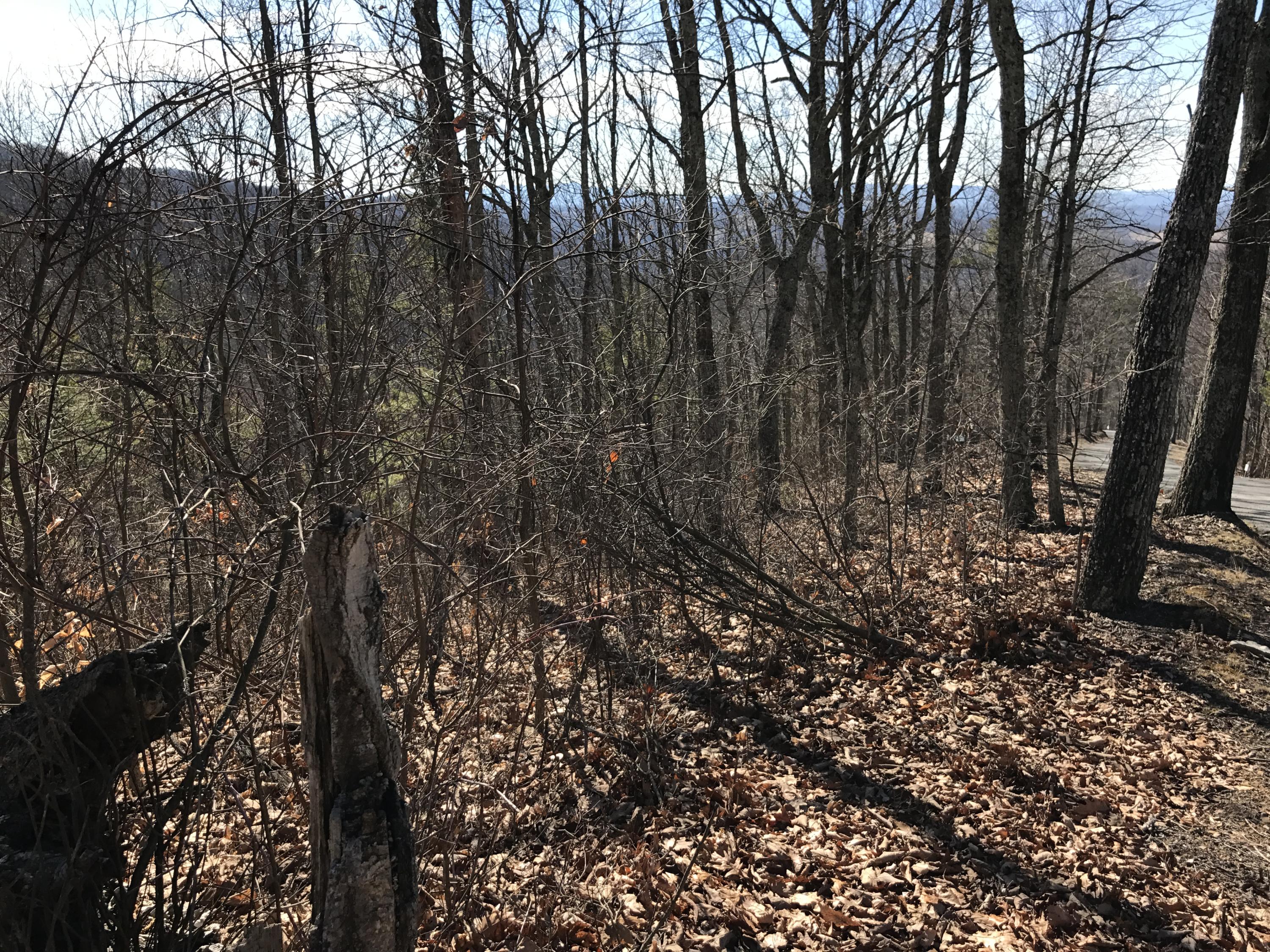 Lot 39 Wildwood Ridge, #39, Caldwell, West Virginia image 3