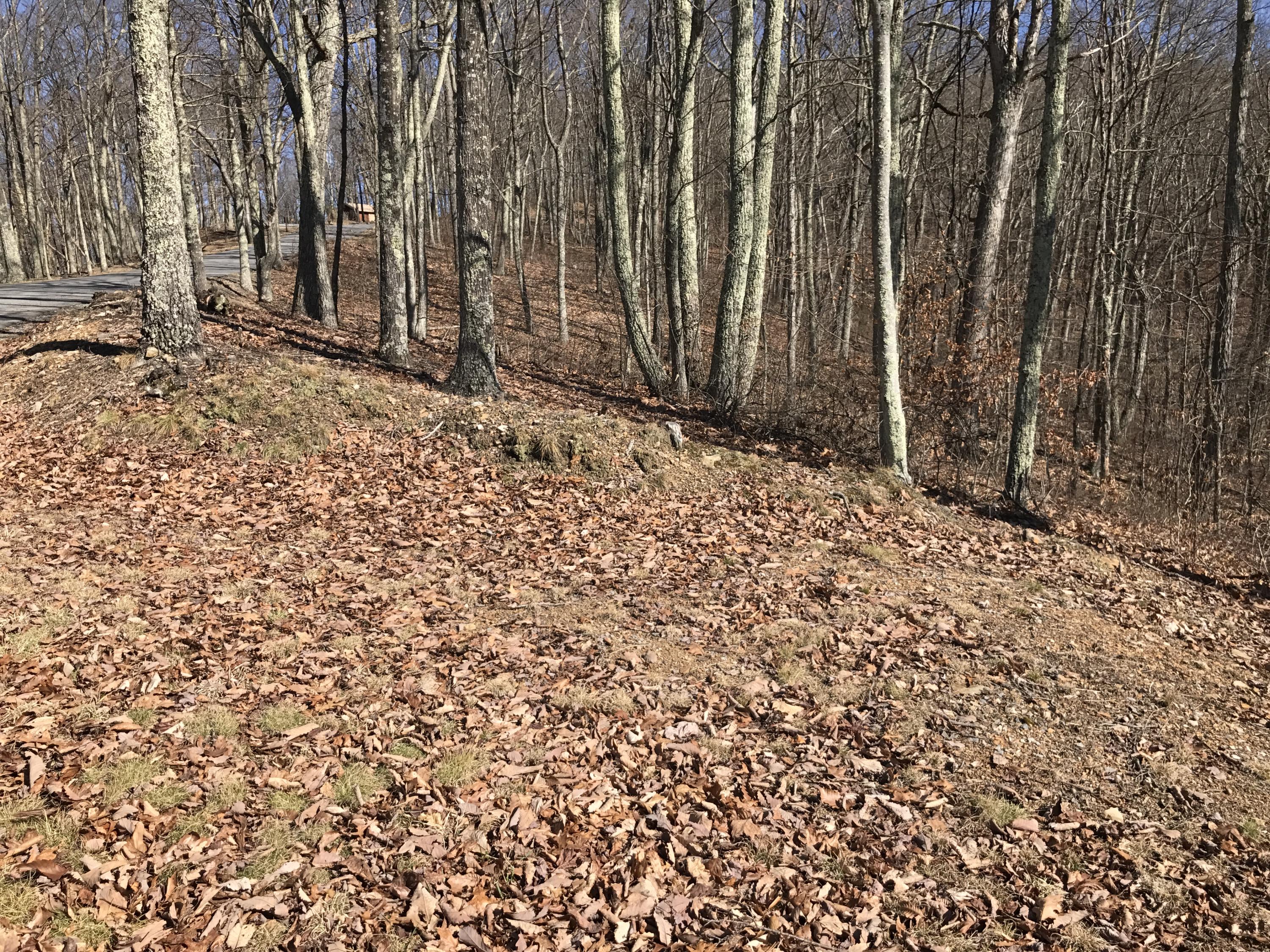 Lot 39 Wildwood Ridge, #39, Caldwell, West Virginia image 5