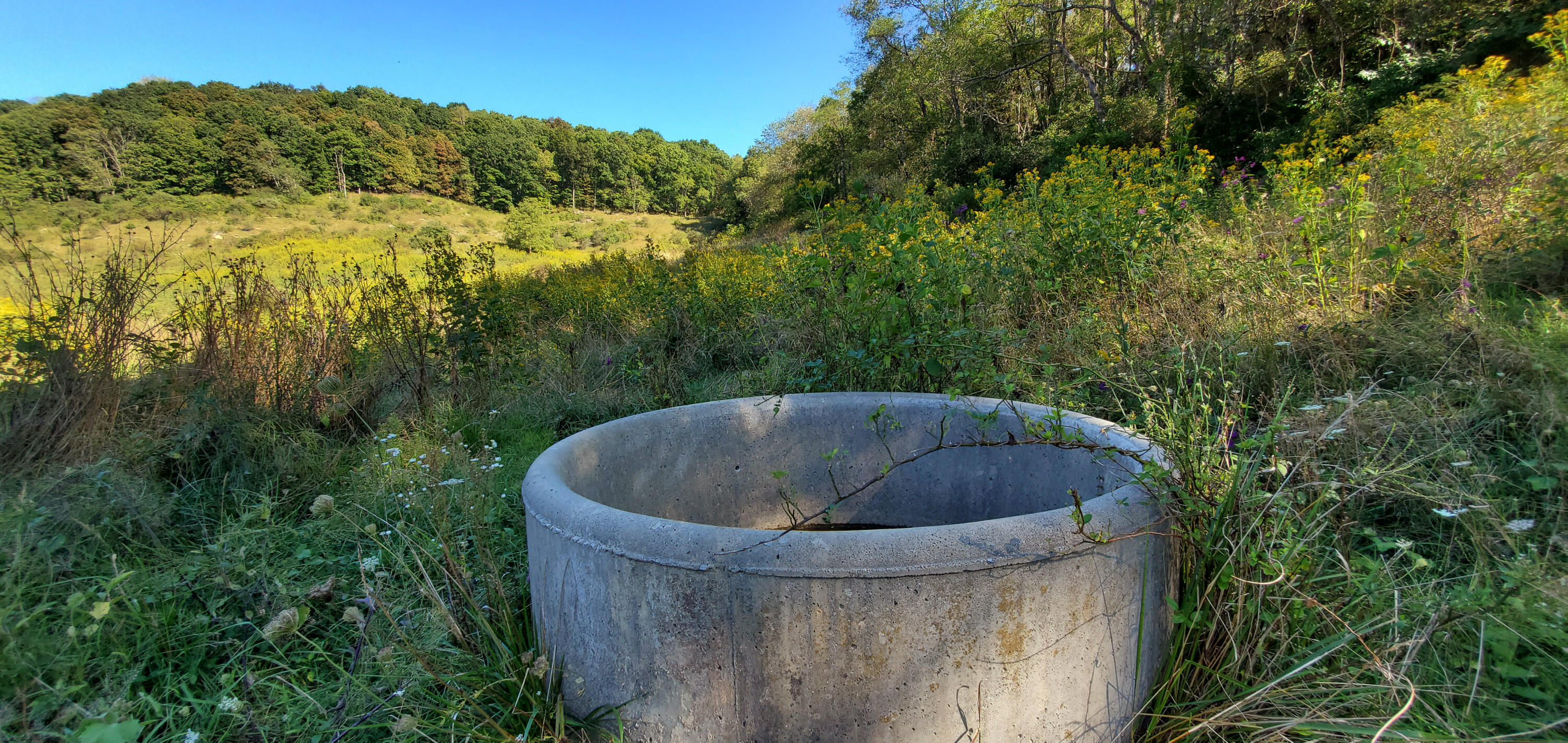 Davis Stuart Rd, Lewisburg, West Virginia image 47