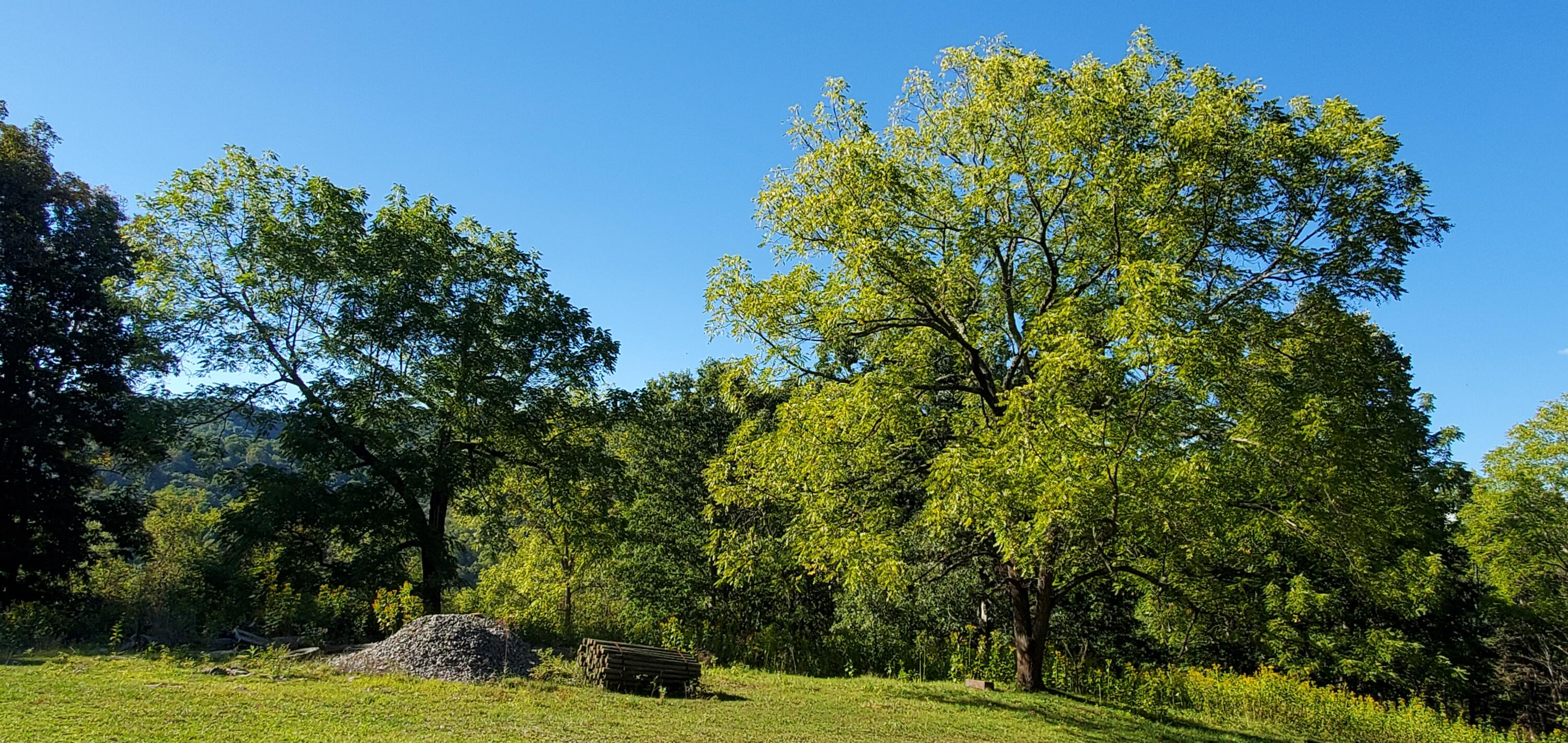 Davis Stuart Rd, Lewisburg, West Virginia image 18