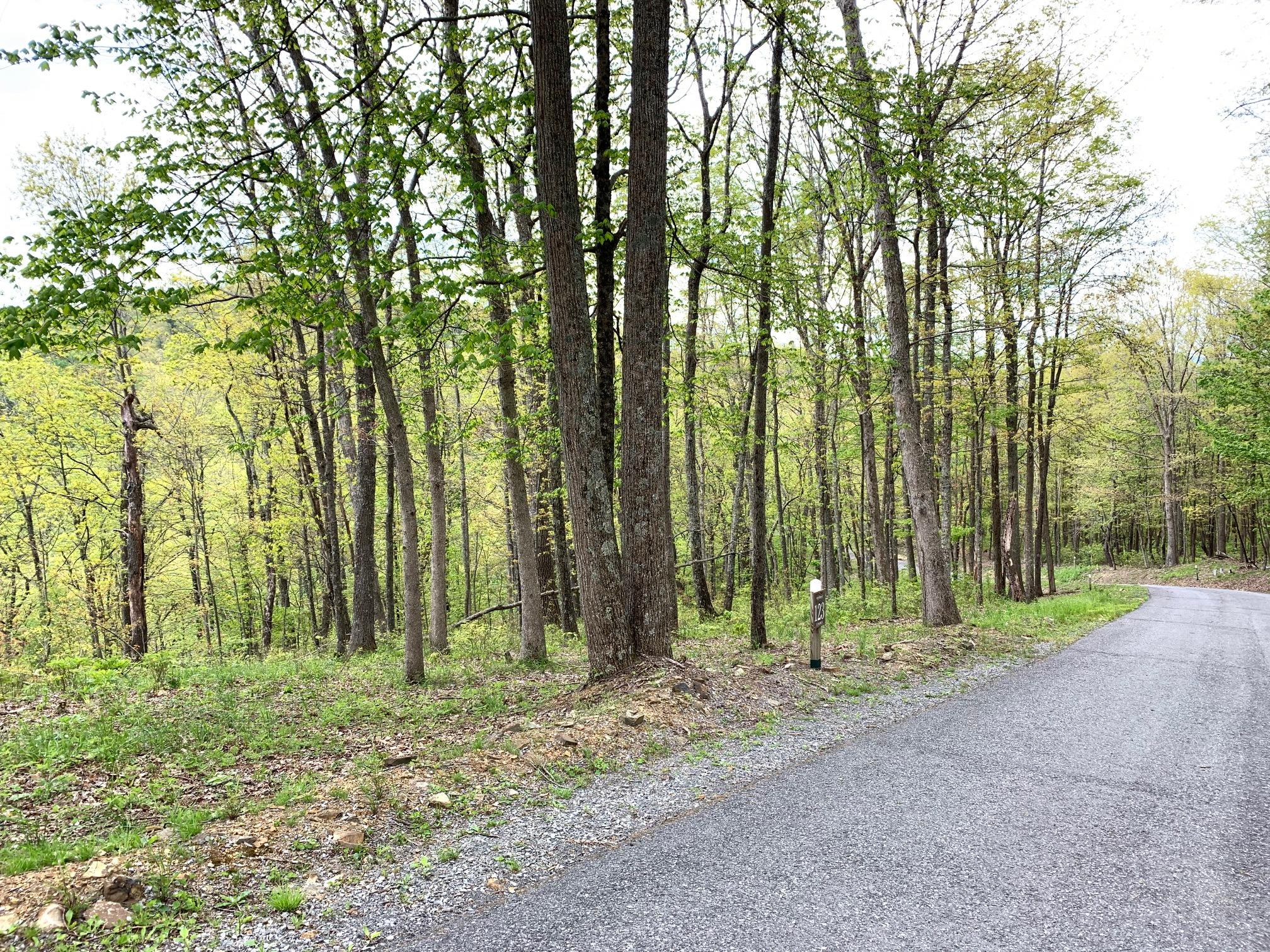 Lot 123 Withrow Landing, The Retreat, Caldwell, West Virginia image 12