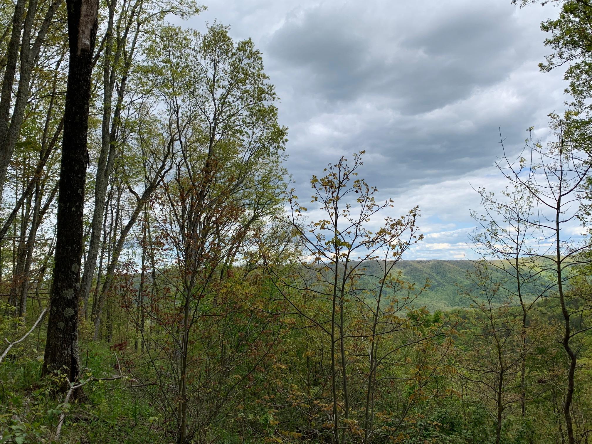 Lot 123 Withrow Landing, The Retreat, Caldwell, West Virginia image 4