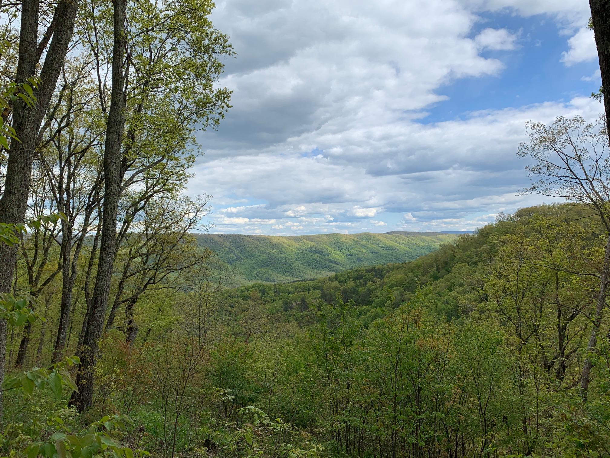 Lot 123 Withrow Landing, The Retreat, Caldwell, West Virginia image 1