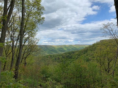 Vacant Land For Sale - LOT 123 Withrow Landing, The Retreat<br/> Greenbrier County, Caldwell, WV 24925