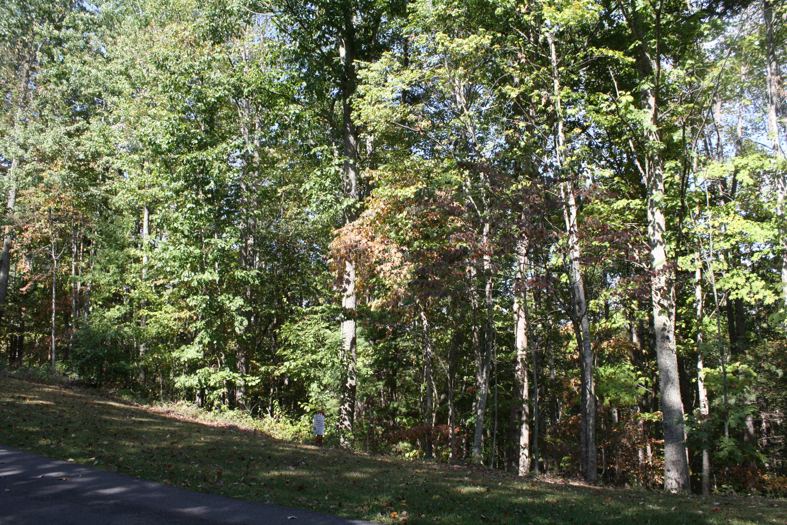 Lot 13 Fairway Drive #PIPESTEM POINTE, Pipestem, West Virginia image 5