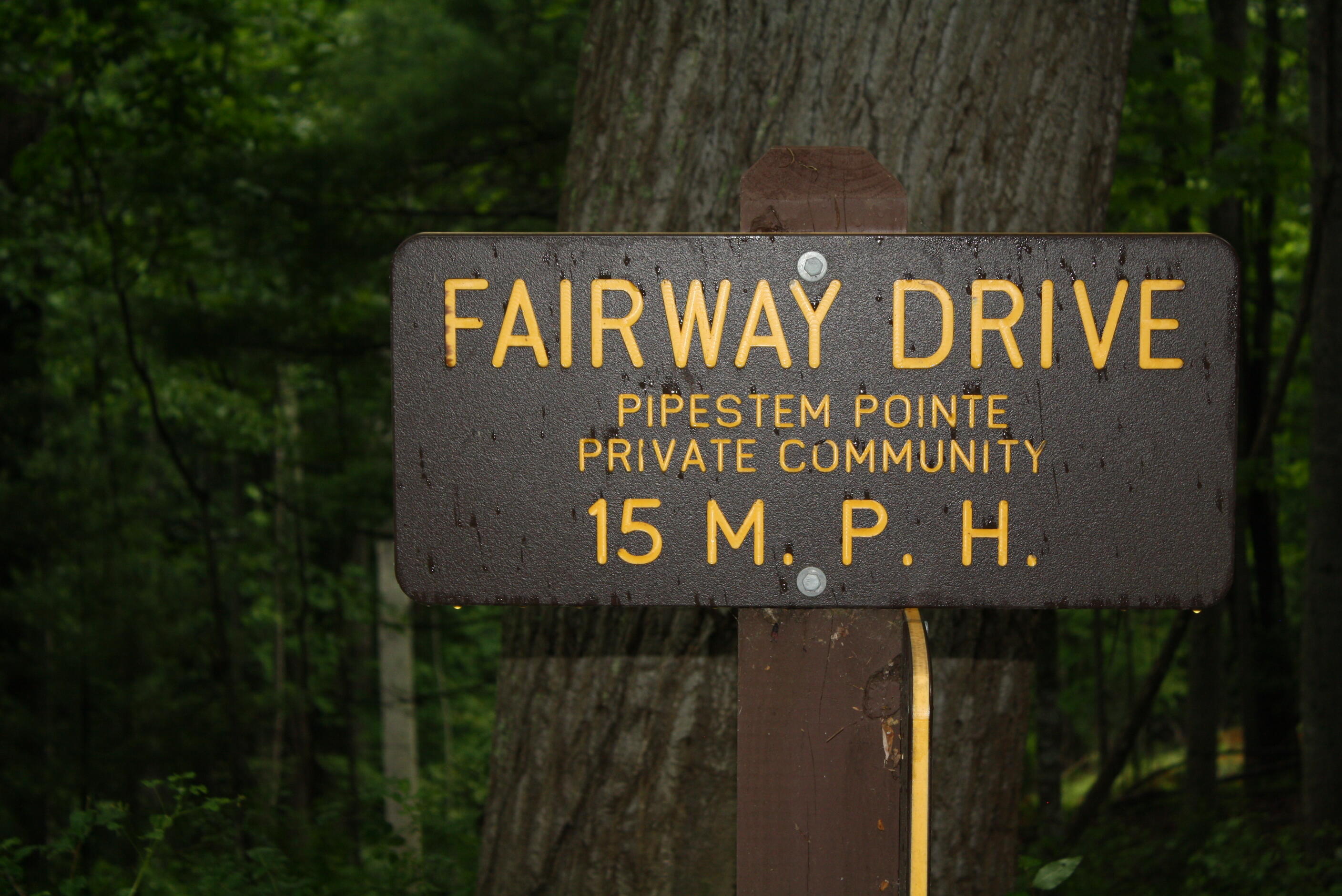 Lot 13 Fairway Drive #PIPESTEM POINTE, Pipestem, West Virginia image 3