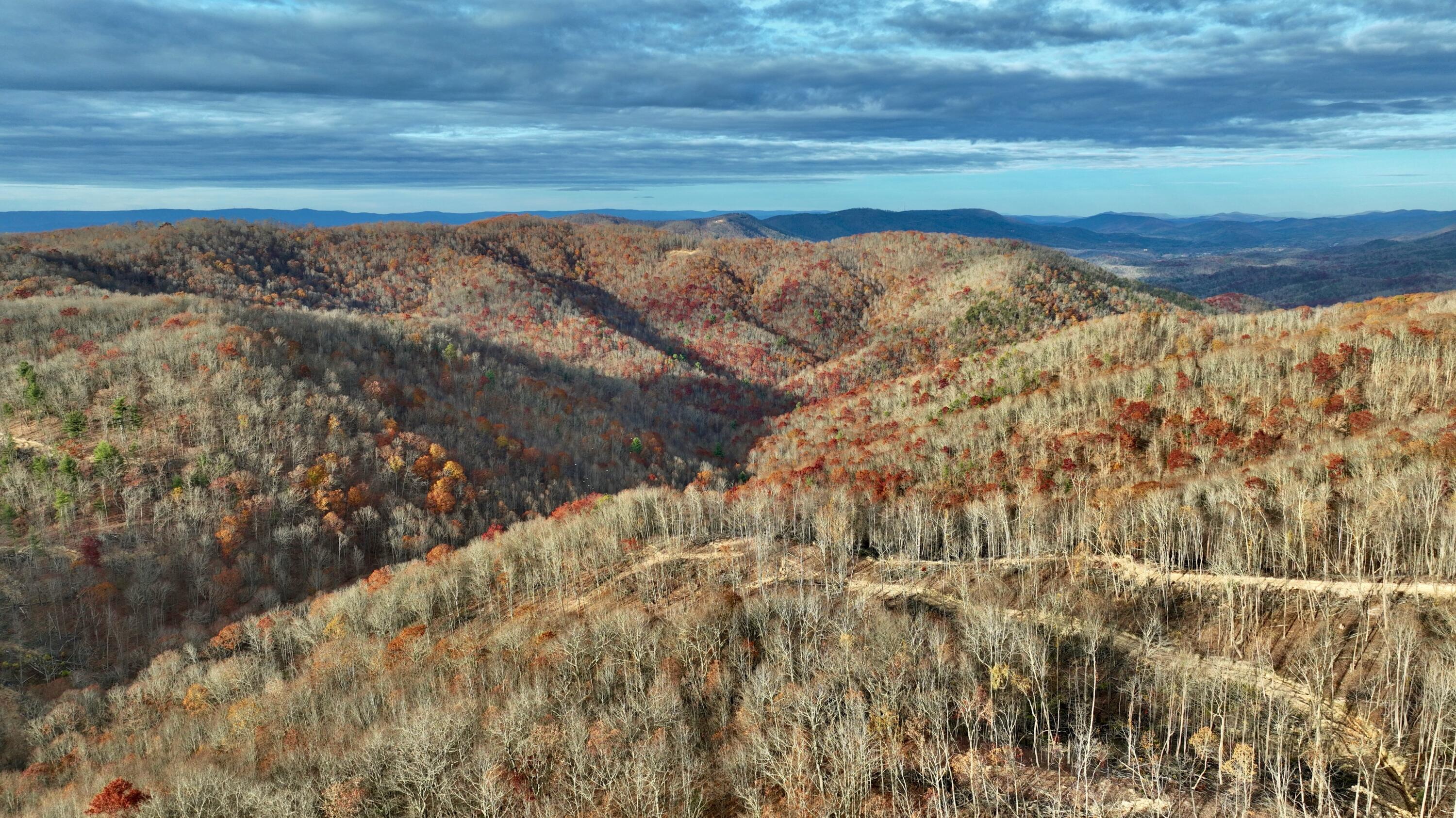 Cub House Road, Caldwell, West Virginia image 1