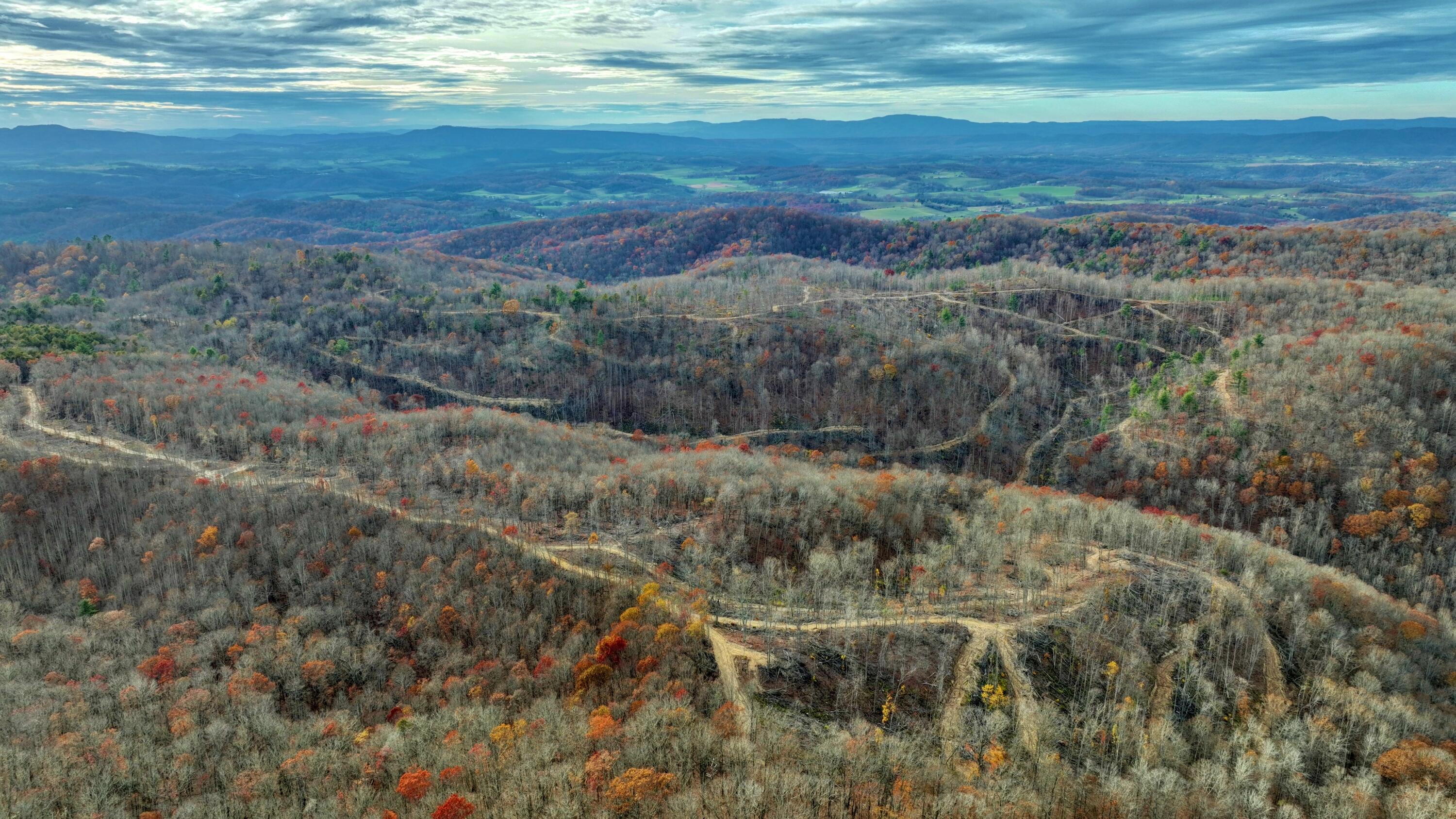 Cub House Road, Caldwell, West Virginia image 11