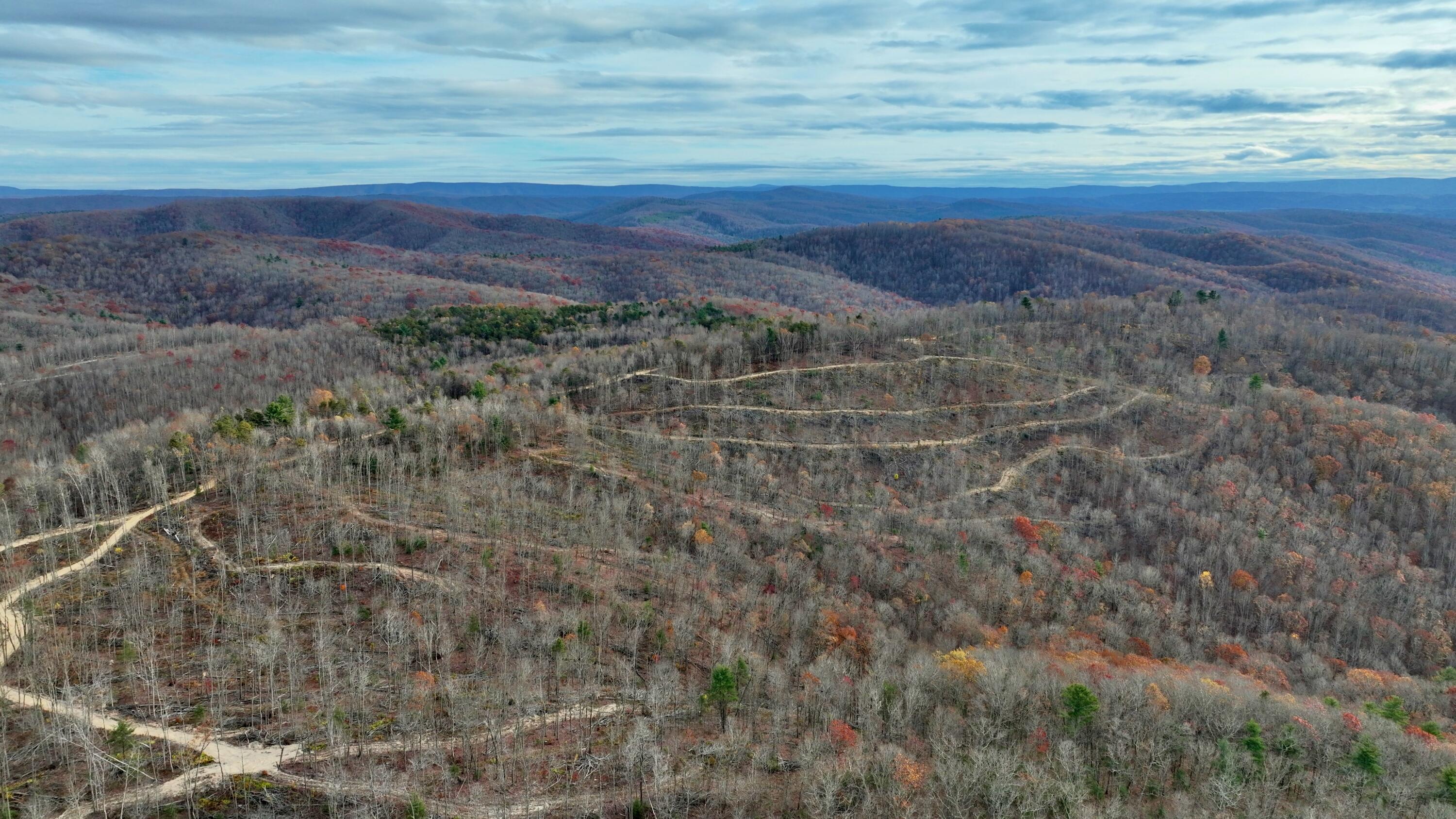 Cub House Road, Caldwell, West Virginia image 5