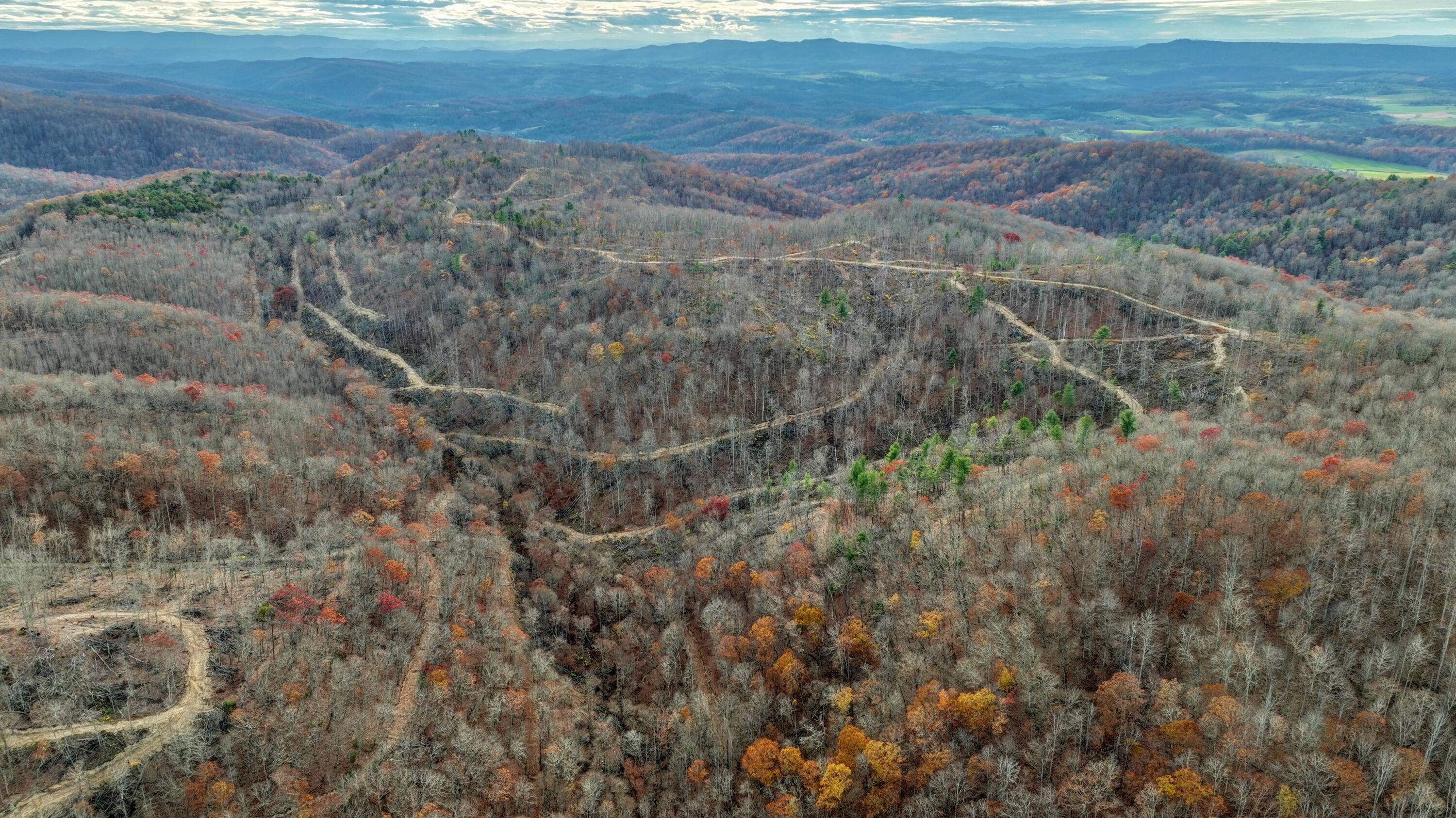 Cub House Road, Caldwell, West Virginia image 9