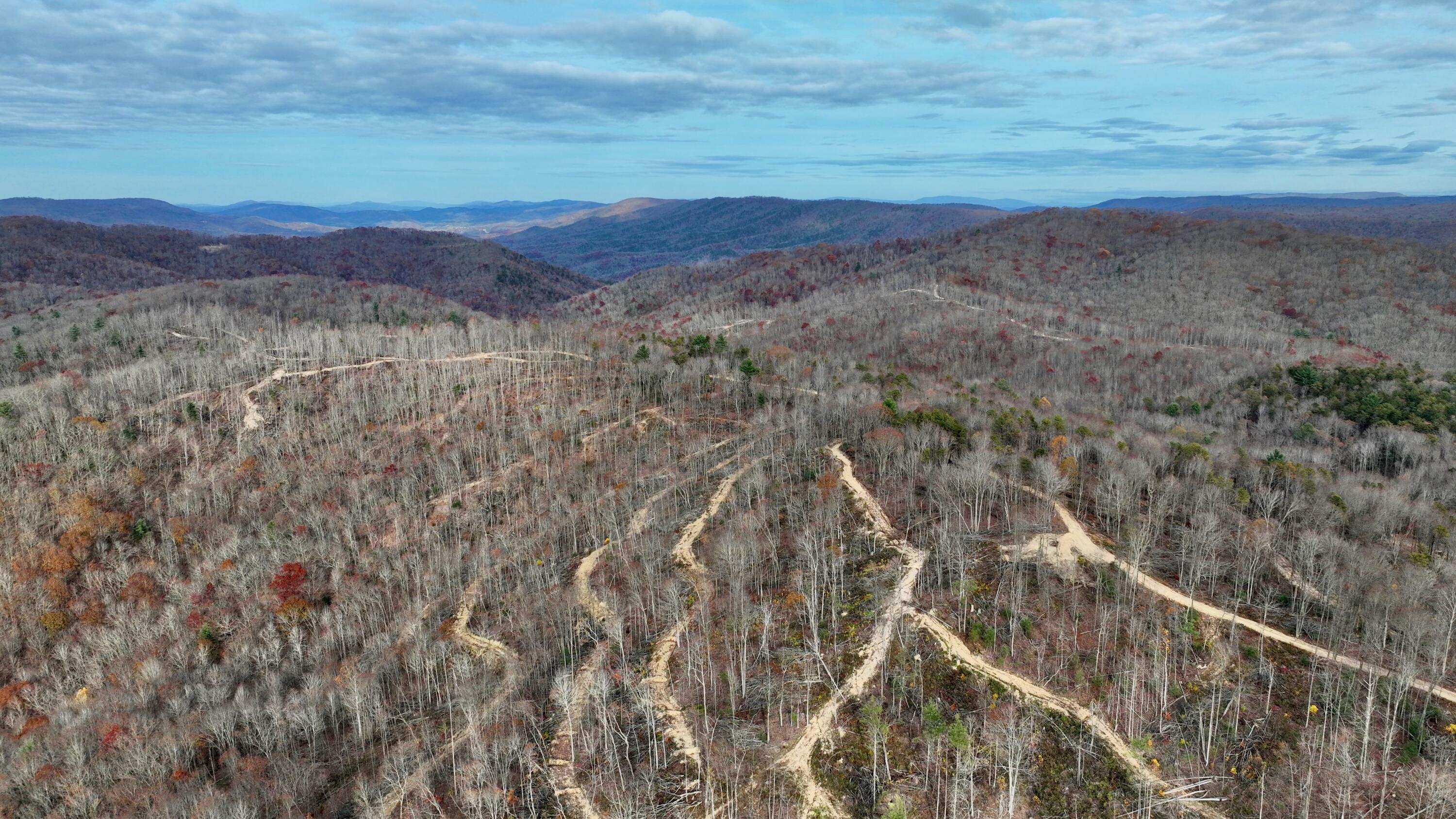 Cub House Road, Caldwell, West Virginia image 2