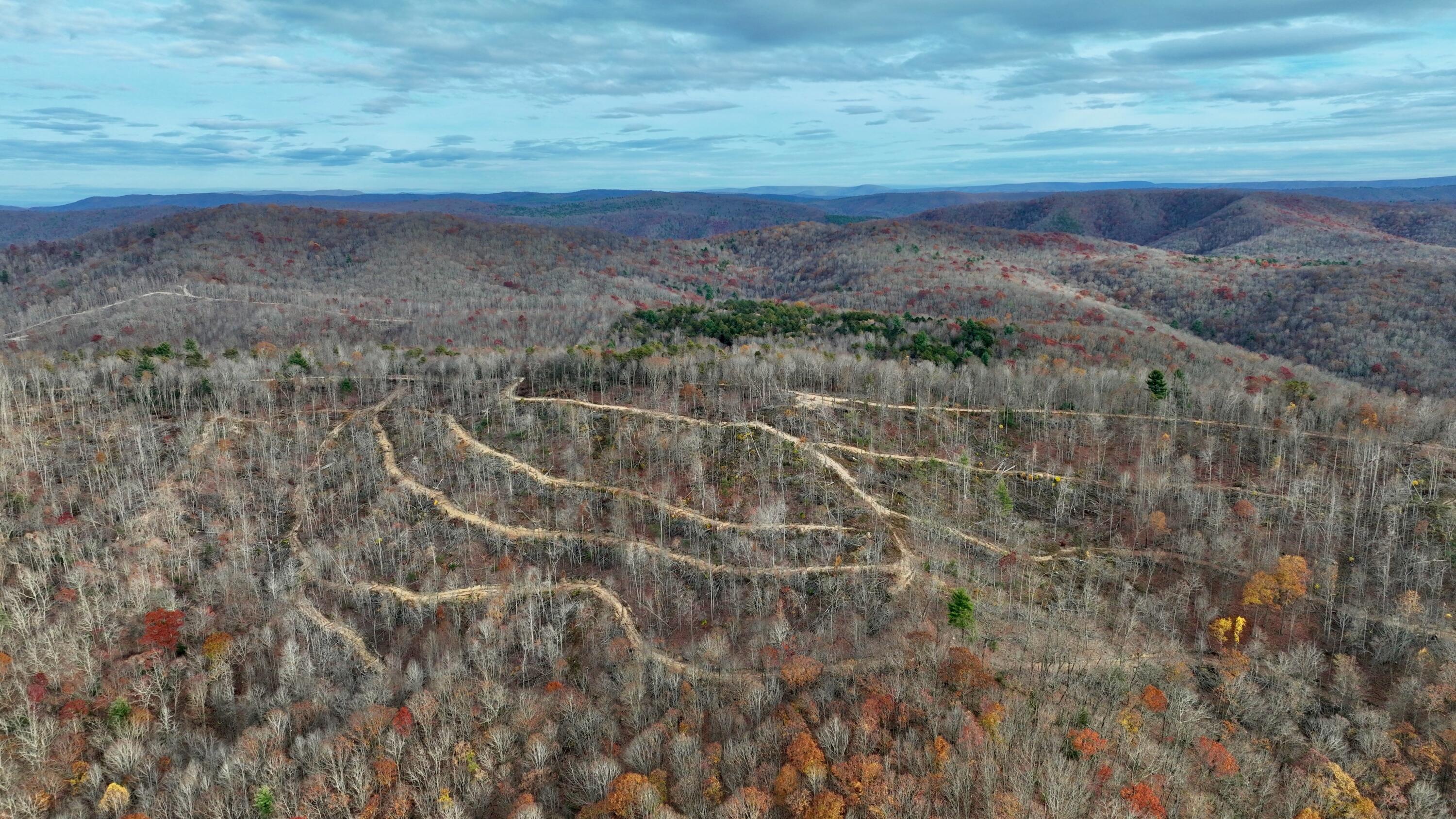 Cub House Road, Caldwell, West Virginia image 3