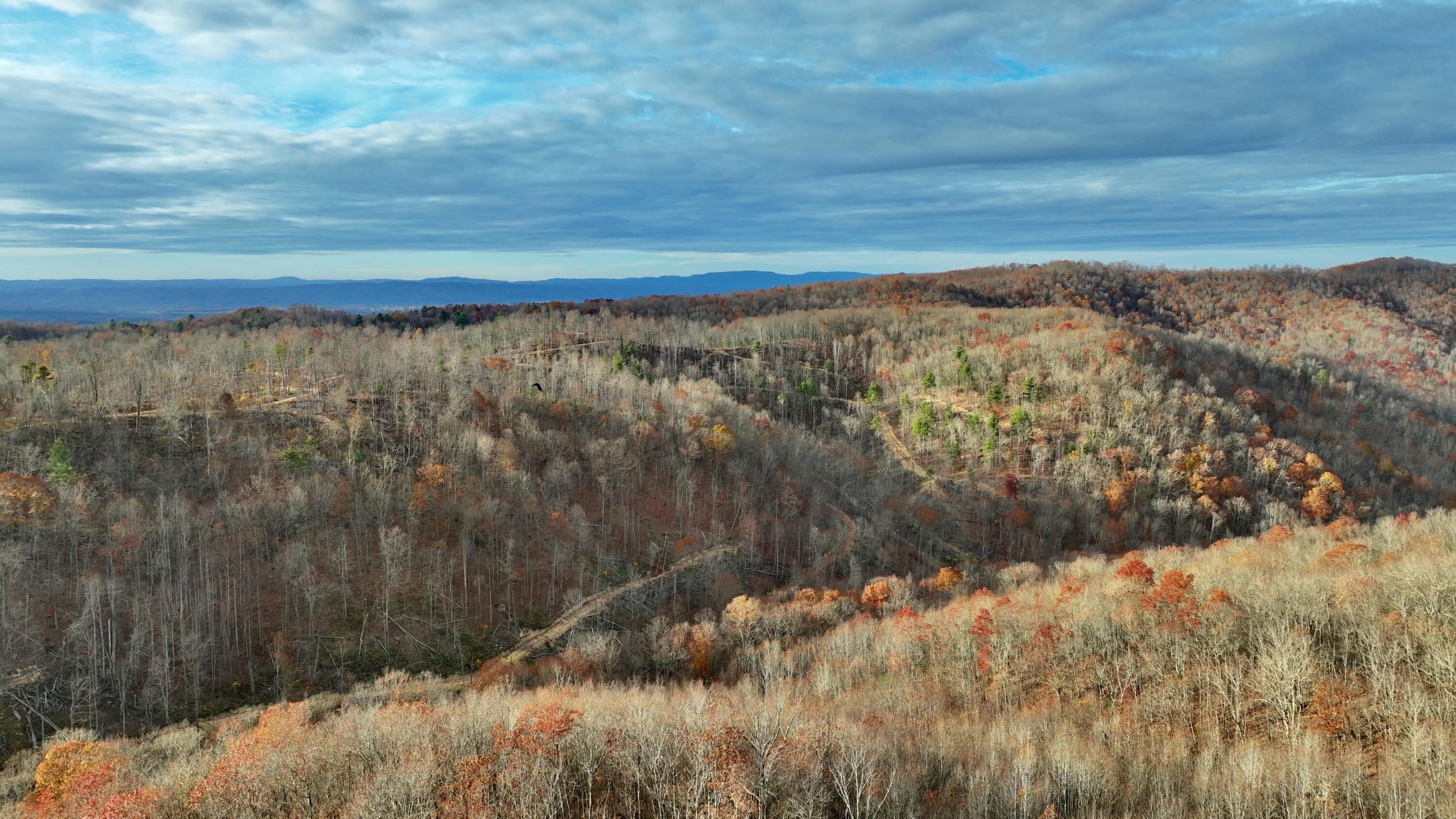 Cub House Road, Caldwell, West Virginia image 36