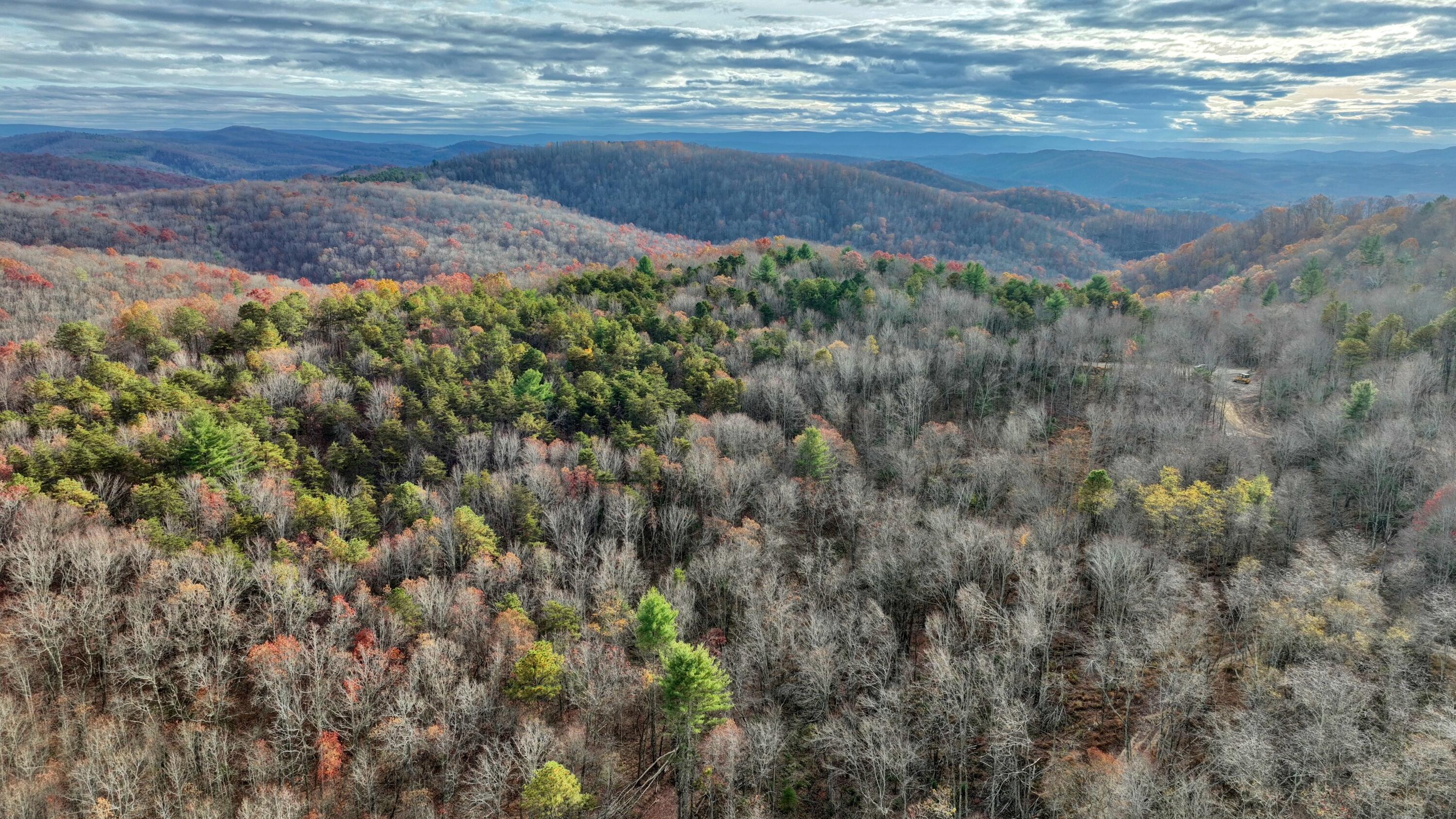 Cub House Road, Caldwell, West Virginia image 32