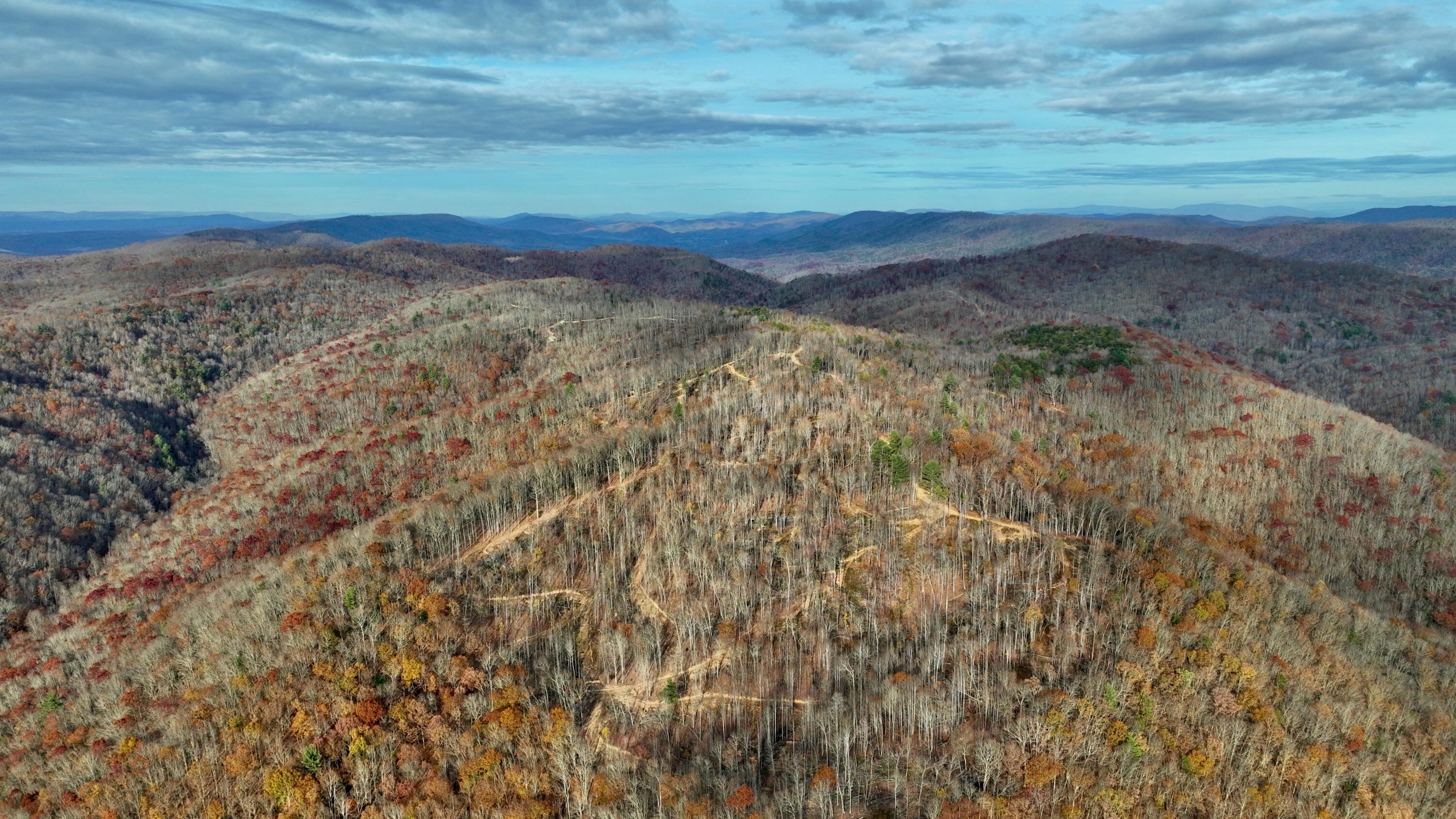 Cub House Road, Caldwell, West Virginia image 19